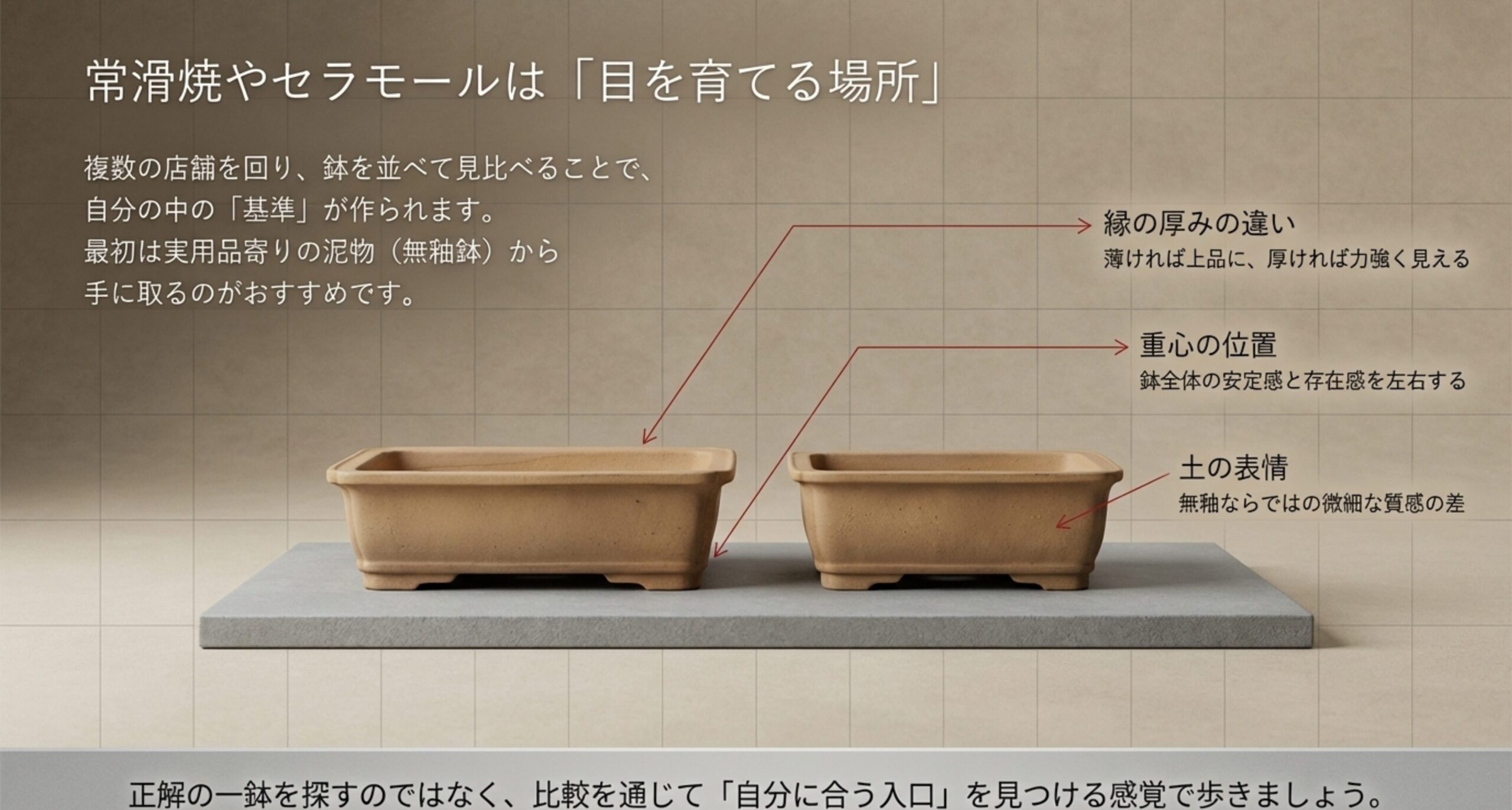 盆栽鉢の縁の厚み、重心の位置、土の表情など、複数の鉢を見比べることで目を育てるポイントの解説。