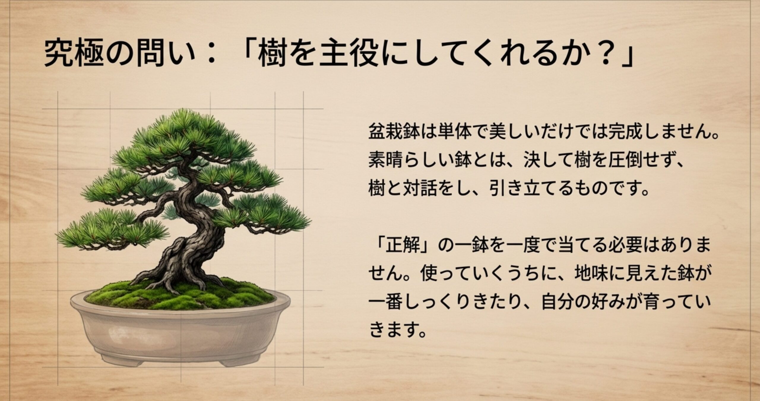 浅めの長方鉢に美しく収まった松の盆栽のイラスト。素晴らしい鉢とは樹を圧倒せず引き立てるものという解説。
