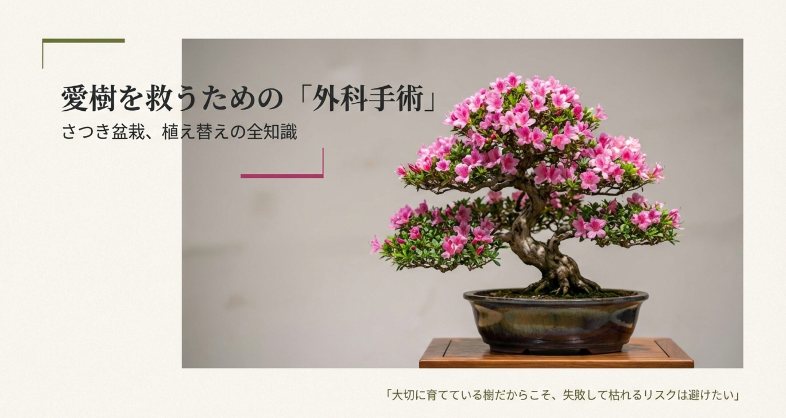 「愛樹を救うための外科手術」というタイトルのスライド。さつき盆栽の植え替えに関する全知識を解説。