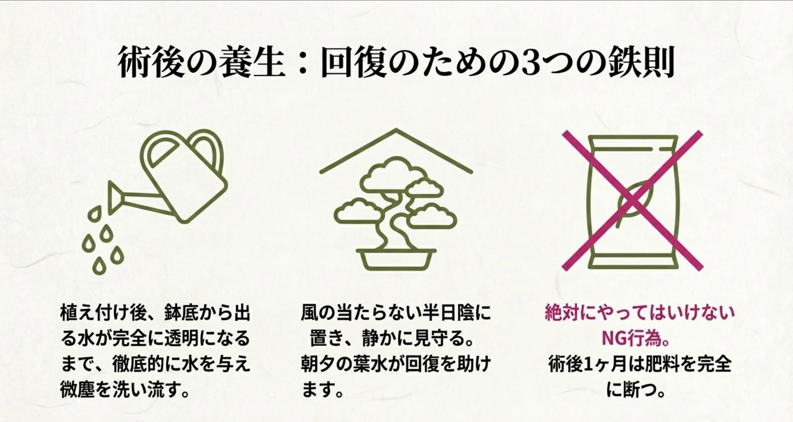 術後管理のアイコンイラスト。徹底的な水やり、半日陰での管理、そして術後1ヶ月は肥料を完全に断つこと（肥料袋にバツ印）を示している。
