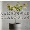 鉢植えと盆栽、その境界線はどこにあるのでしょうという問いかけのスライド