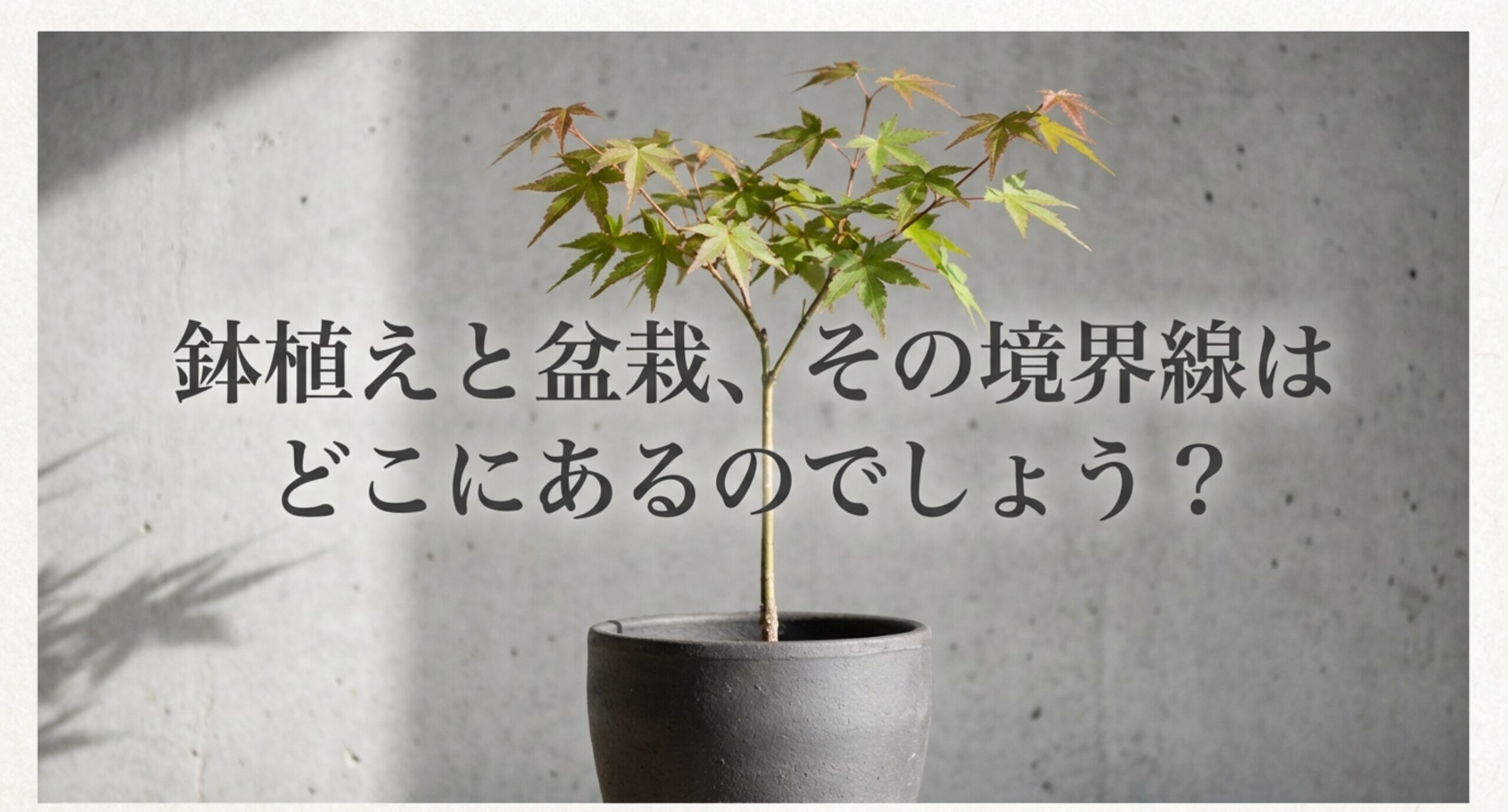 鉢植えと盆栽、その境界線はどこにあるのでしょうという問いかけのスライド