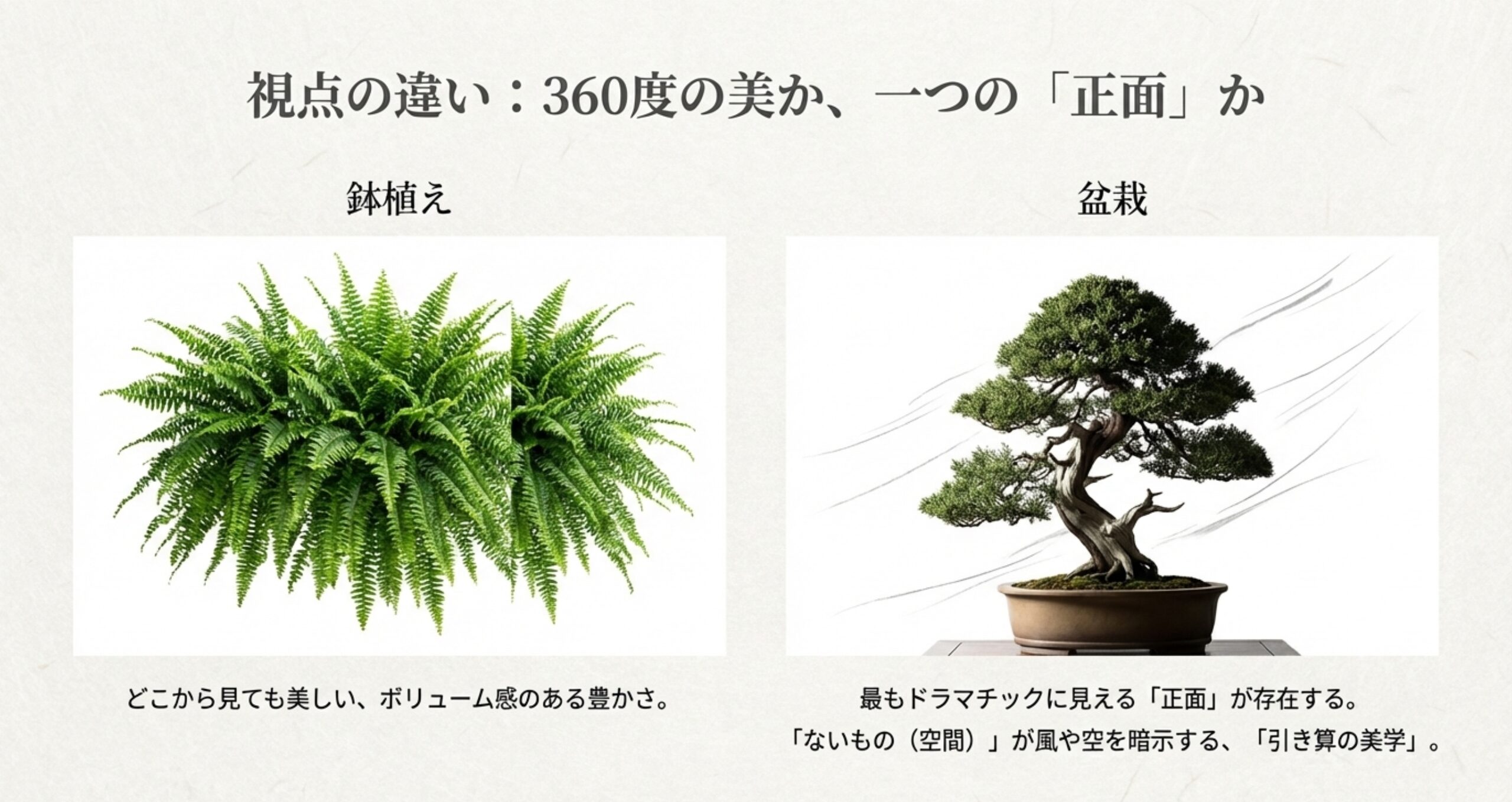 葉が茂ったシダ植物と、余白を生かして仕立てられた松の盆栽の対比画像