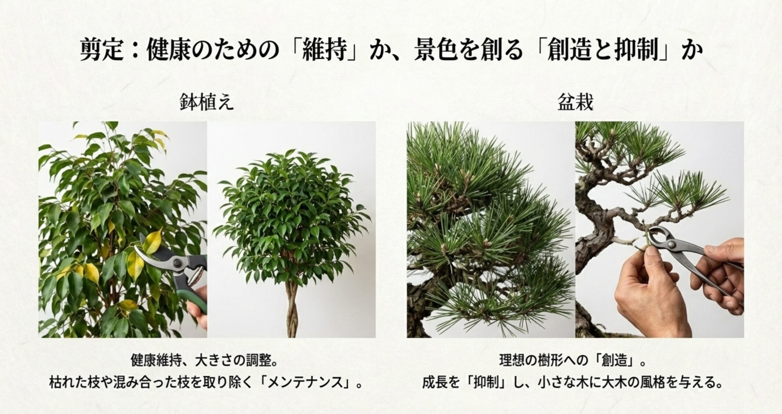 観葉植物の枯れ葉を取り除く様子と、盆栽の枝をハサミで整える様子の比較写真