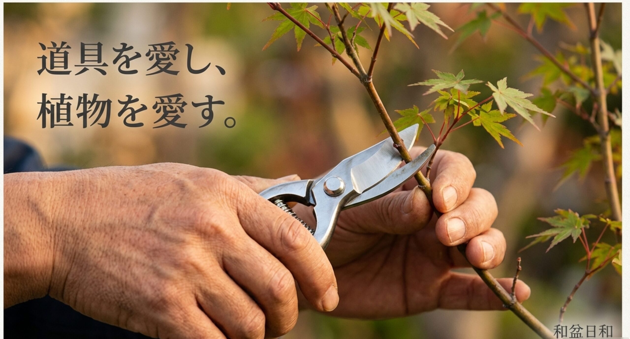 庭の風景をバックに「道具を愛し、植物を愛す」というメッセージとブログ名「和盆日和」が書かれたエンディングスライ