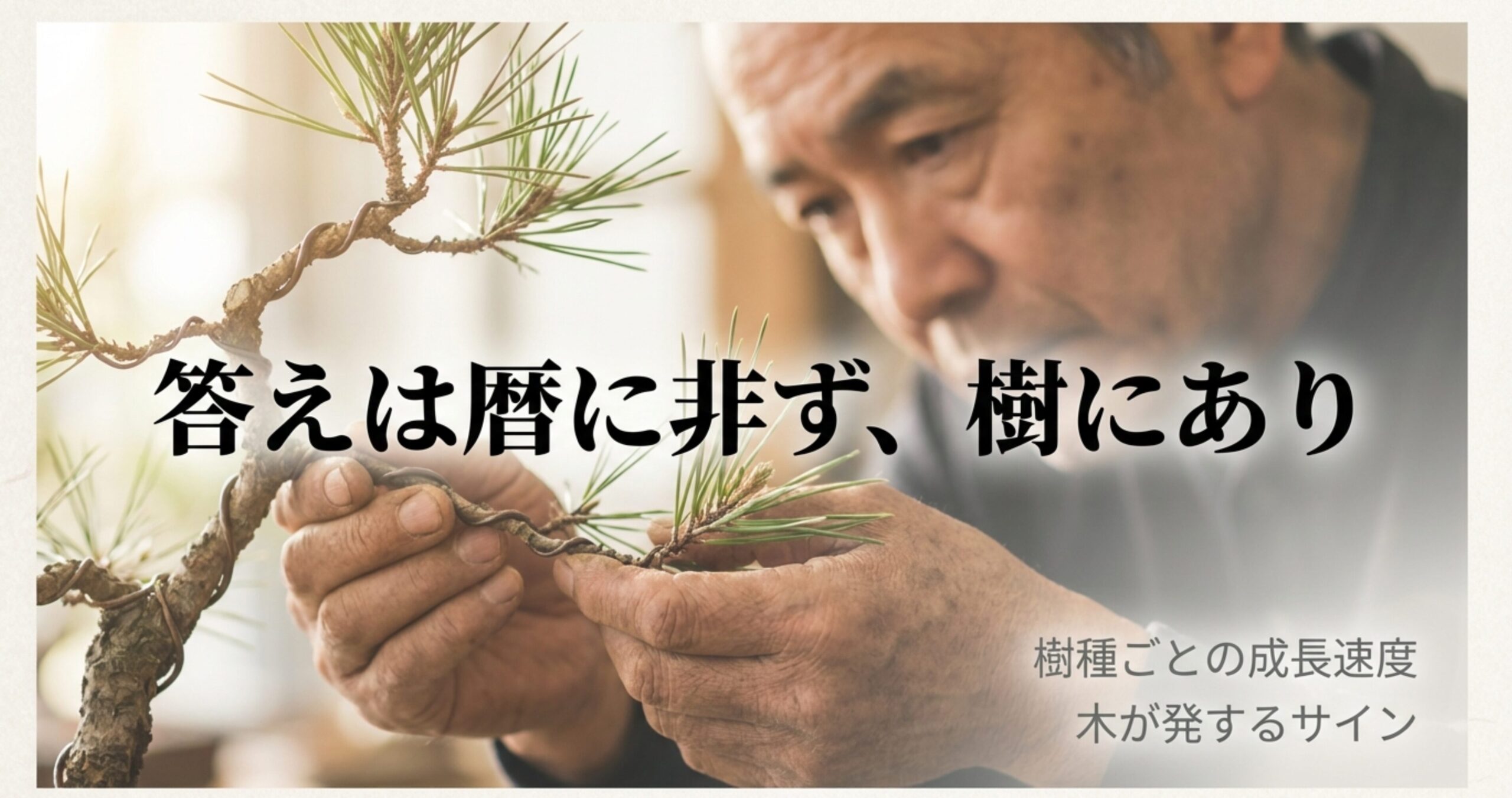盆栽の針金外しの判断基準はカレンダーではなく樹にあることを示し、松（風格）、真柏（命綱）、雑木（美肌）という3つの樹種別コンセプトをまとめたスライド。