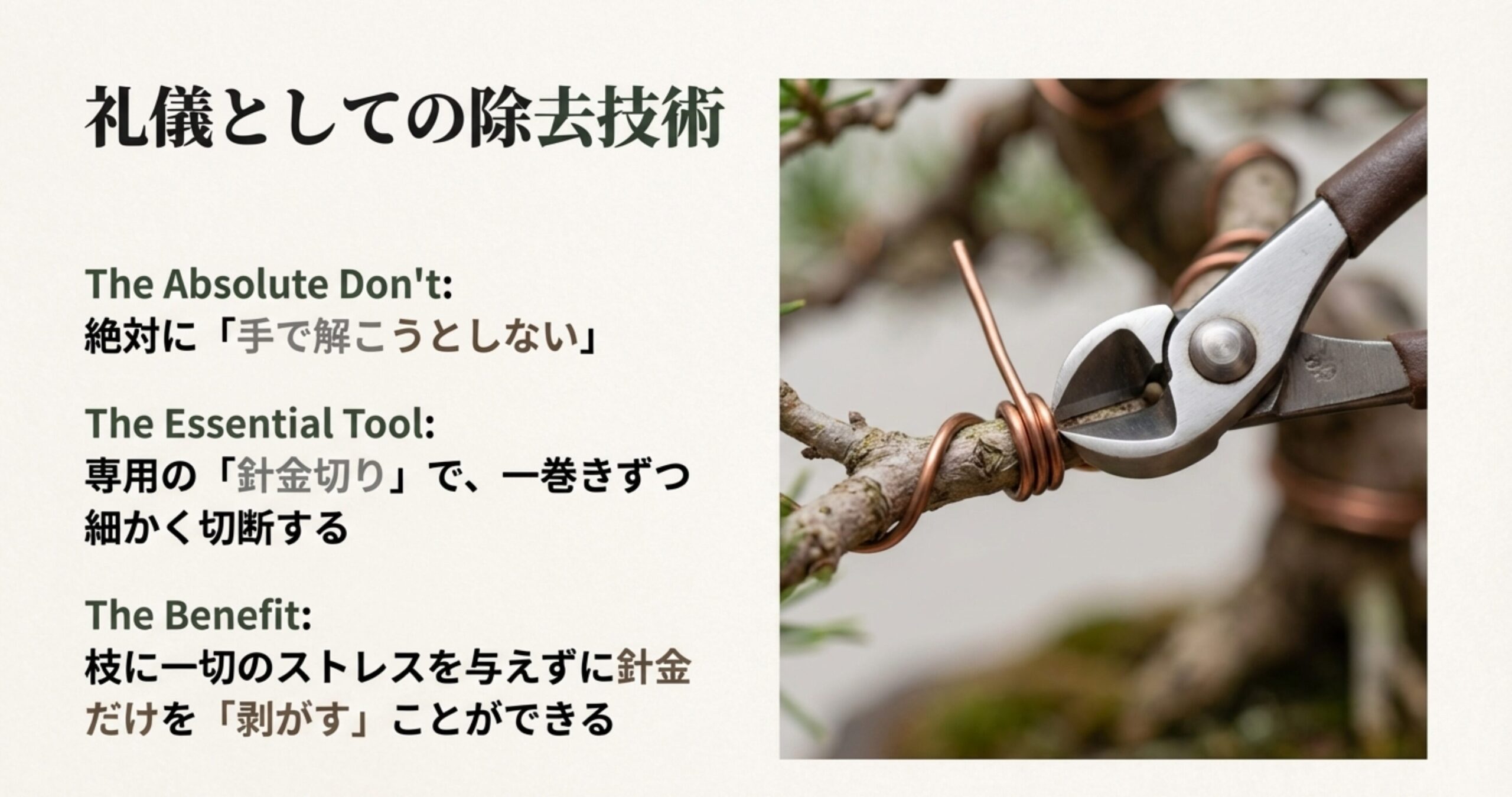 専用の針金切りでアルミ線を切断する様子。手で解くことの危険性と、専用道具で一巻きずつ切断することで枝にストレスを与えず「剥がす」メリットを解説したスライド。