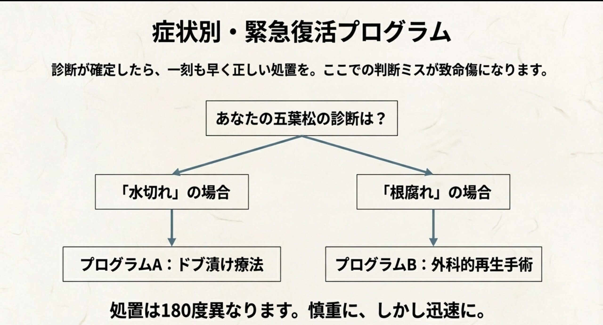 水切れならドブ漬け療法、根腐れなら外科手術へ分岐する診断フローチャート