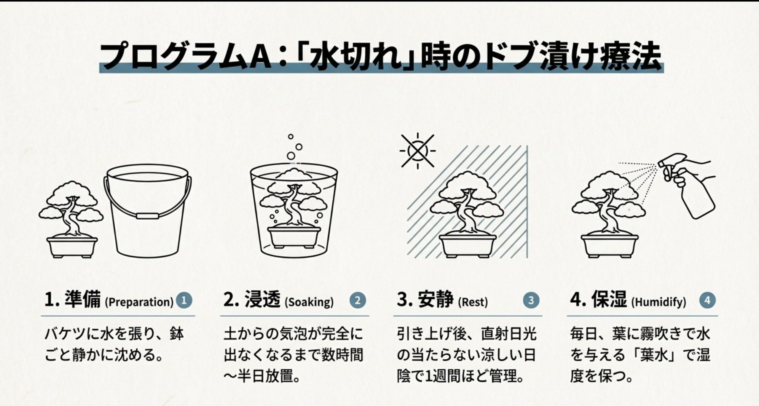 バケツの水に盆栽を沈めて給水させるドブ漬け療法のイラスト解説