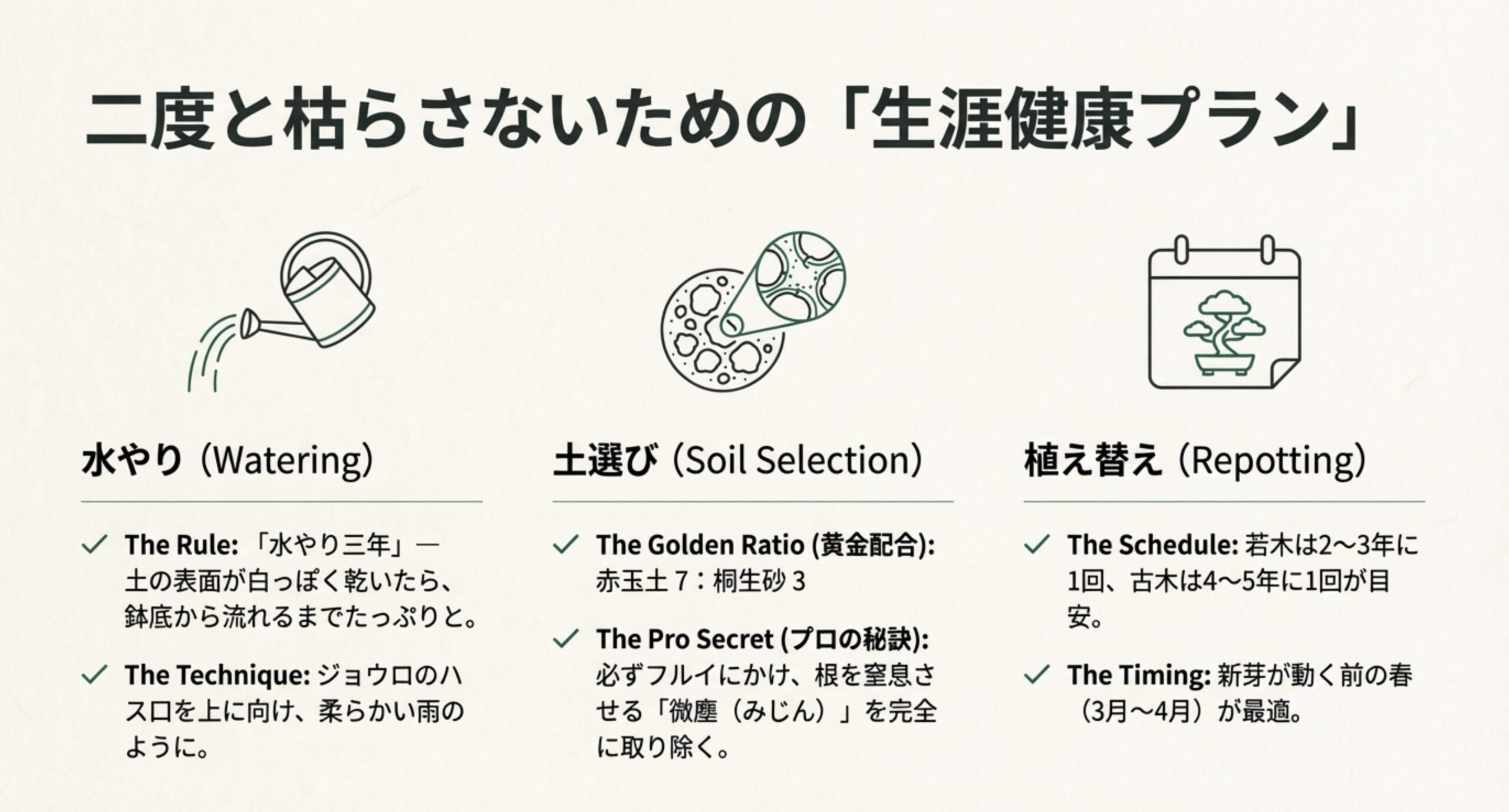 水やりの基本、土の黄金配合、植え替え頻度をまとめた管理プラン