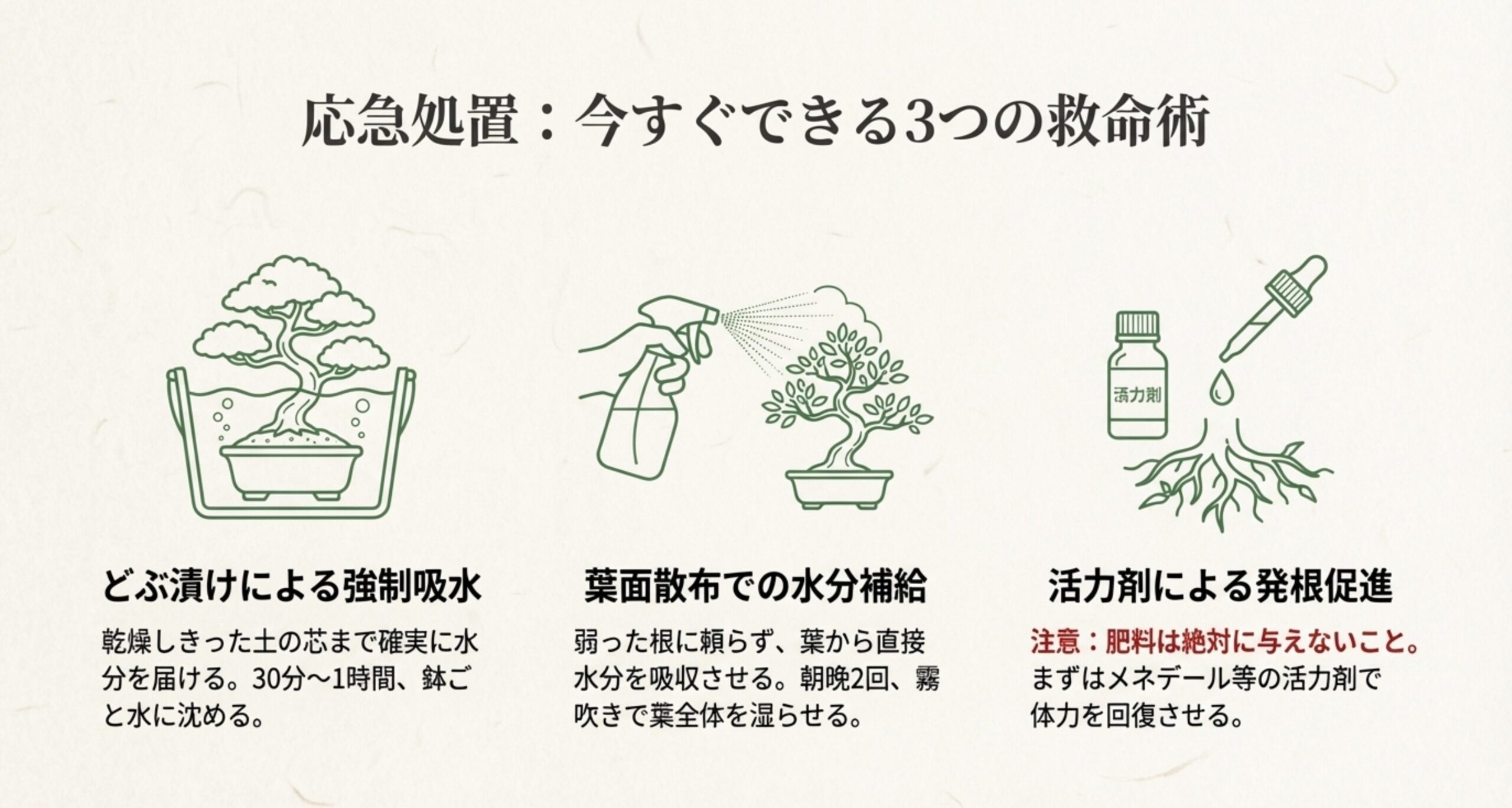 根詰まりした状態から、根を整理し清潔な土へ植え替えた後の比較イラストと、術後の管理ポイントをまとめたスライド画像。

7. 「年間管理の黄金律：」という箇条書きの直前