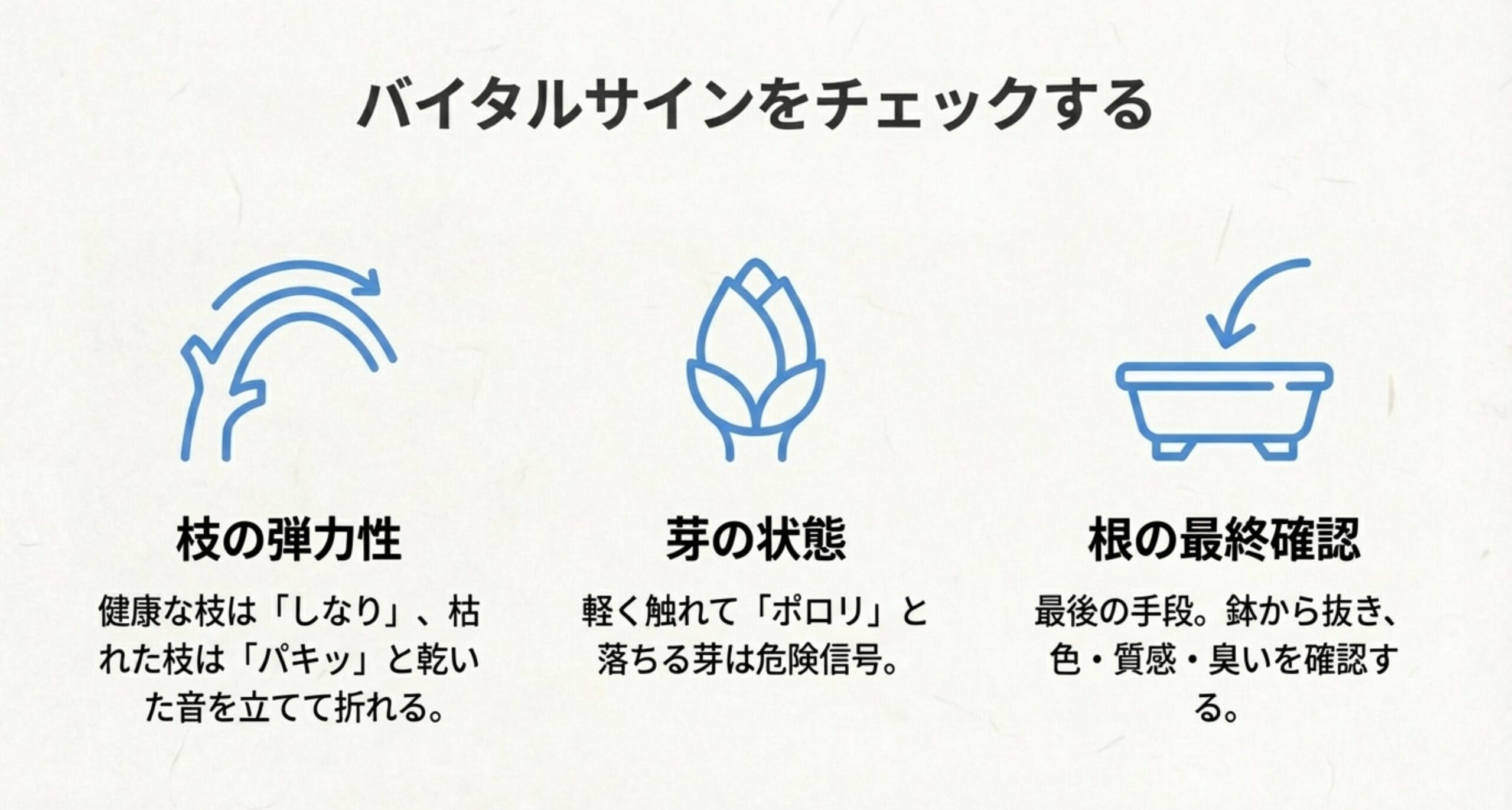 枝を剪定する写真。形成層の鮮やかな緑色が見える「生存ライン」の少し上で切断する様子が示されている。