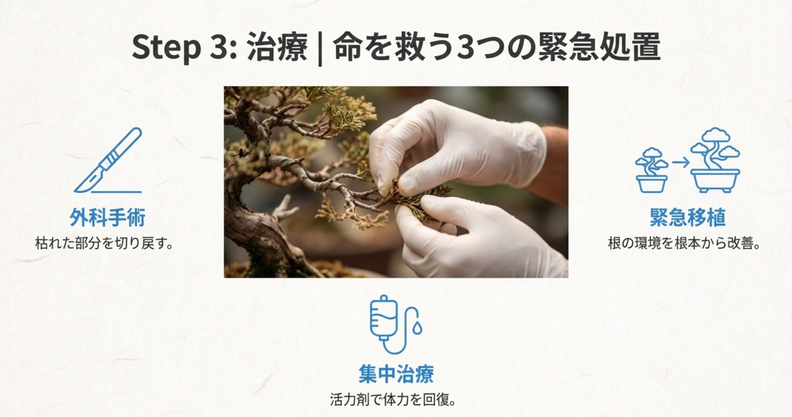 外科手術（切り戻し）、集中治療（活力剤）、緊急移植（鉢増し）の3つの治療法を提示しているスライド。