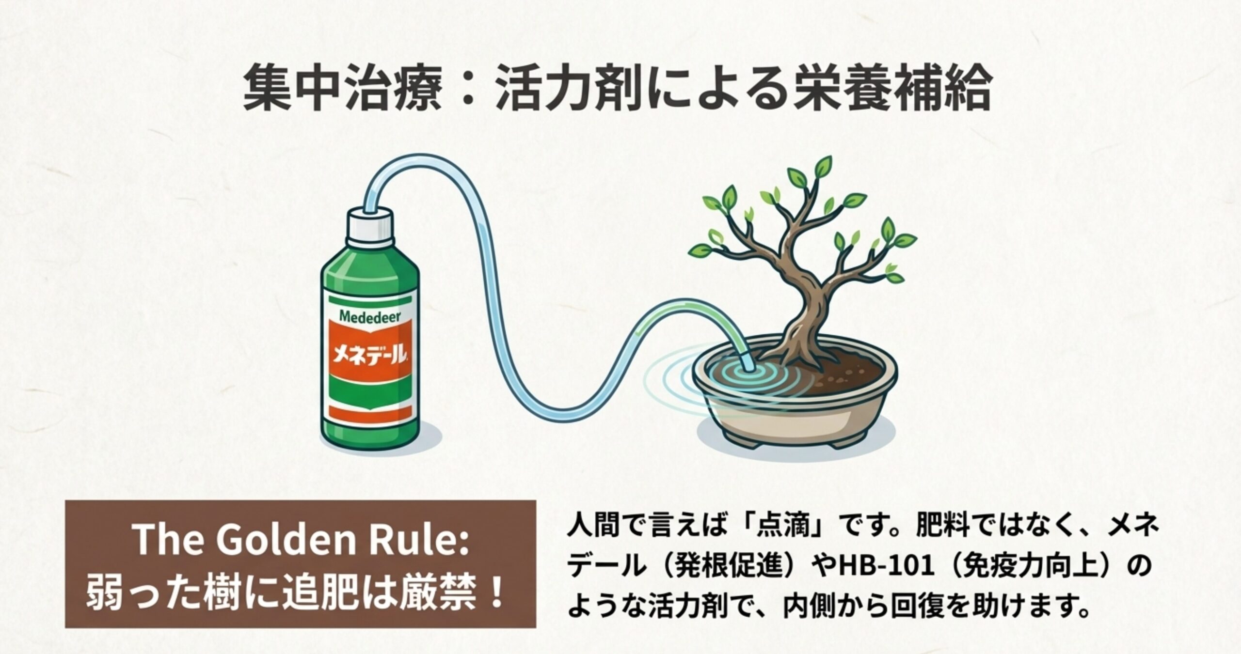 メネデールなどの活力剤を植物に与えるイメージ。弱った樹への追肥は厳禁で、活力剤で内側から回復を助ける旨が記載されている。