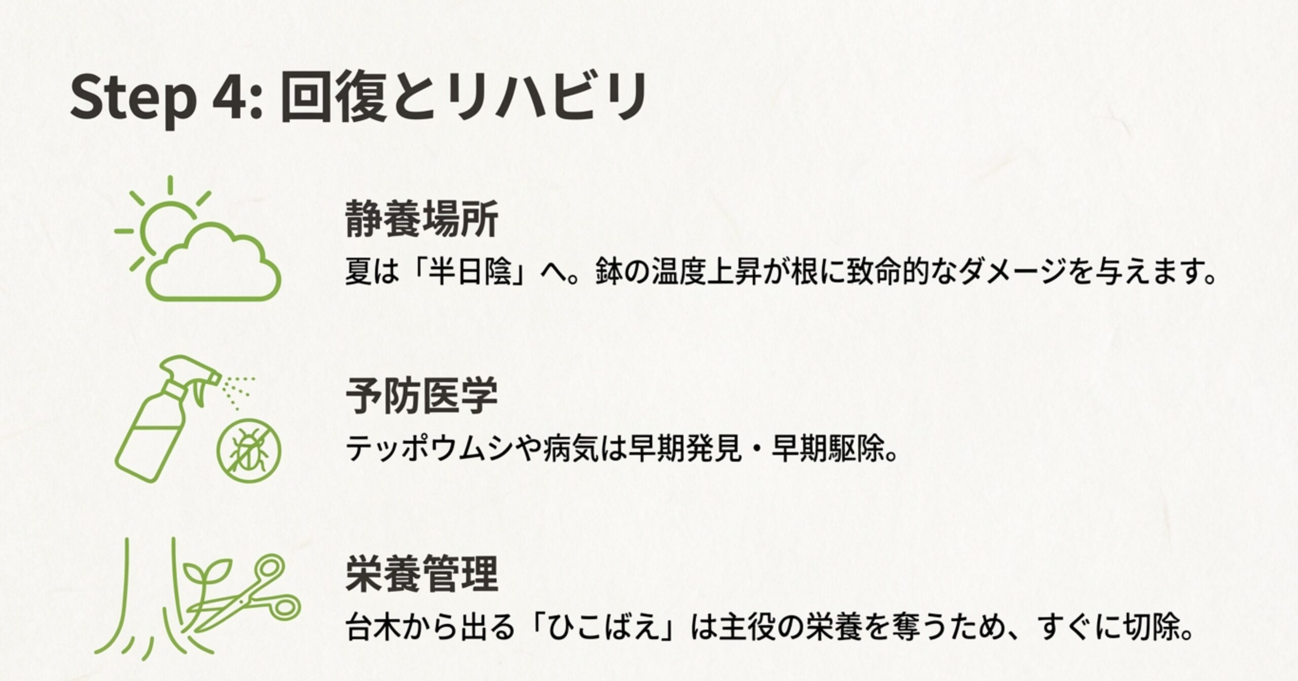 半日陰での静養、病害虫の予防、ひこばえの切除について解説したアイコン付きスライド。