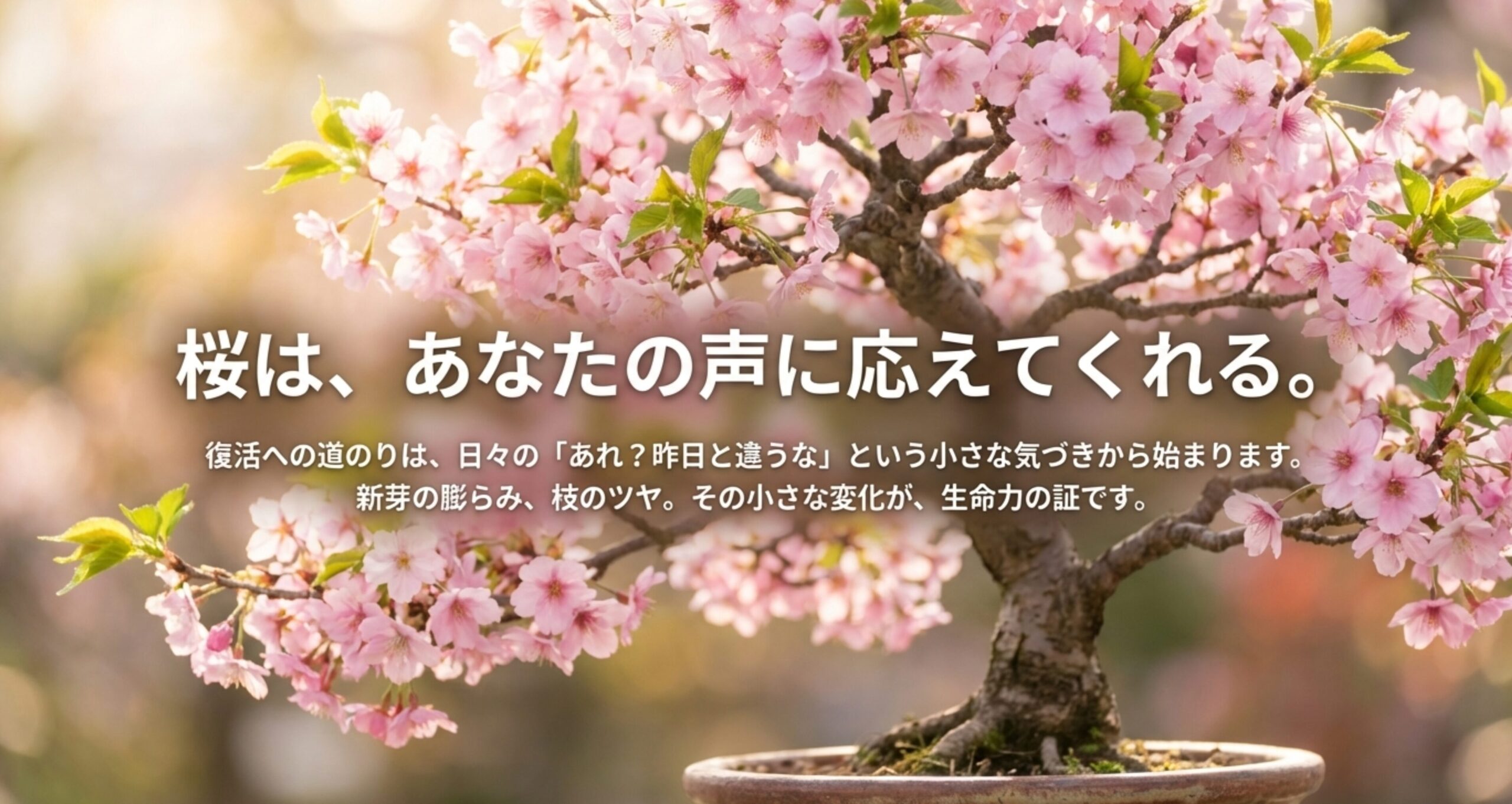 「桜は、あなたの声に応えてくれる。」というメッセージとともに、日々の小さな気づきの重要性を説くメッセージスライド。