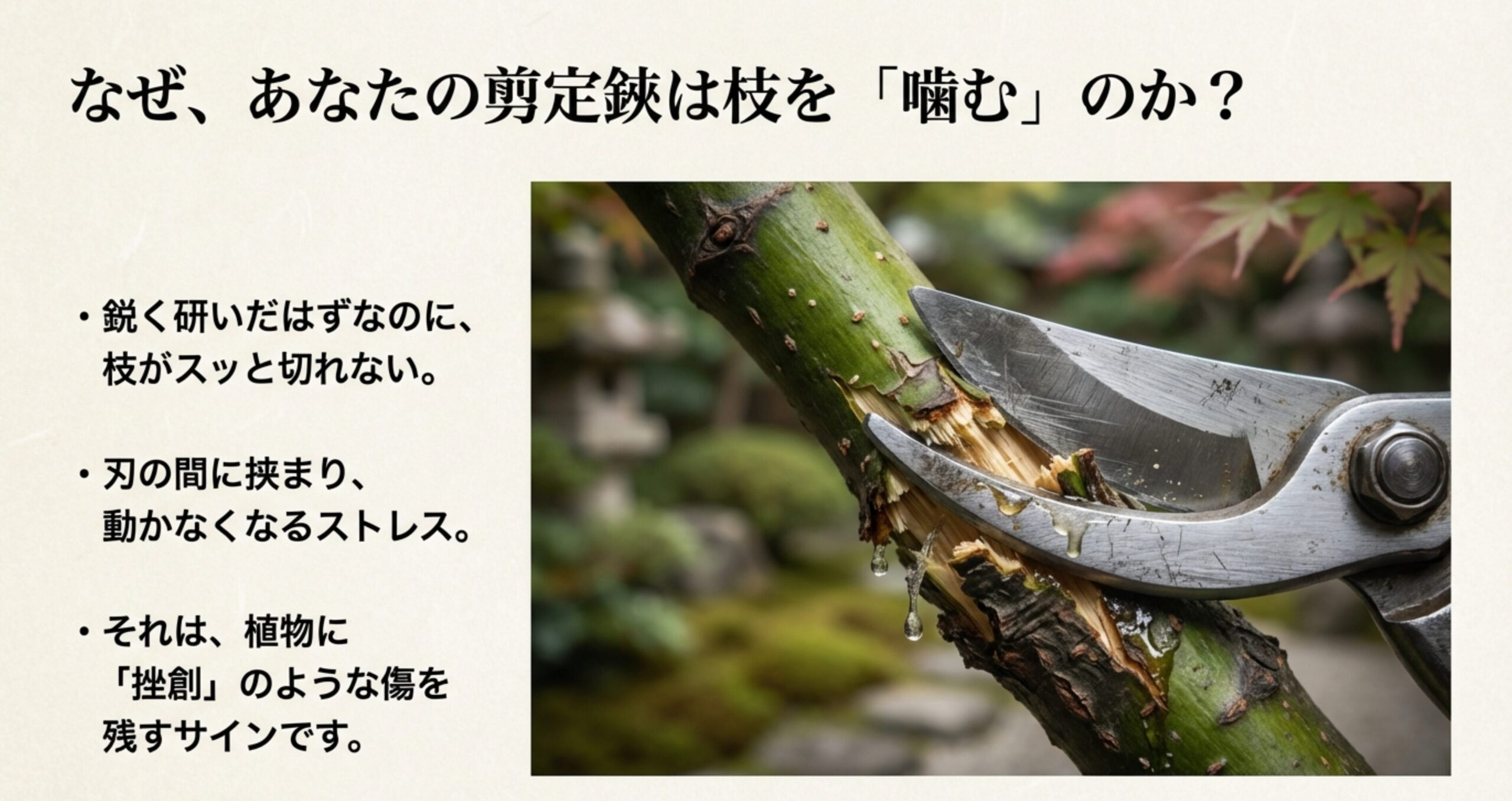 剪定鋏が太い枝を噛んでしまい、樹液が漏れ出している写真。「なぜ、枝を『噛む』のか？」という問いかけと共に、それが植物に「挫創」のような傷を残すサインであることを説明するスライド。