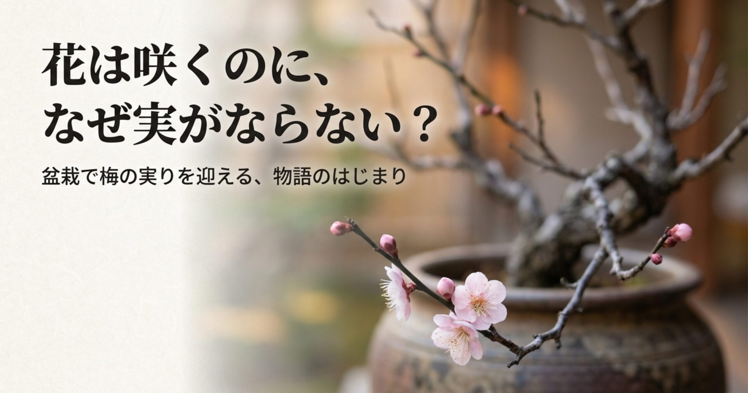 「花は咲くのに、なぜ実がならない？盆栽で梅の実りを迎える、物語のはじまり」というタイトルが書かれた、梅盆栽の栽培ガイドの表紙スライド画像。
