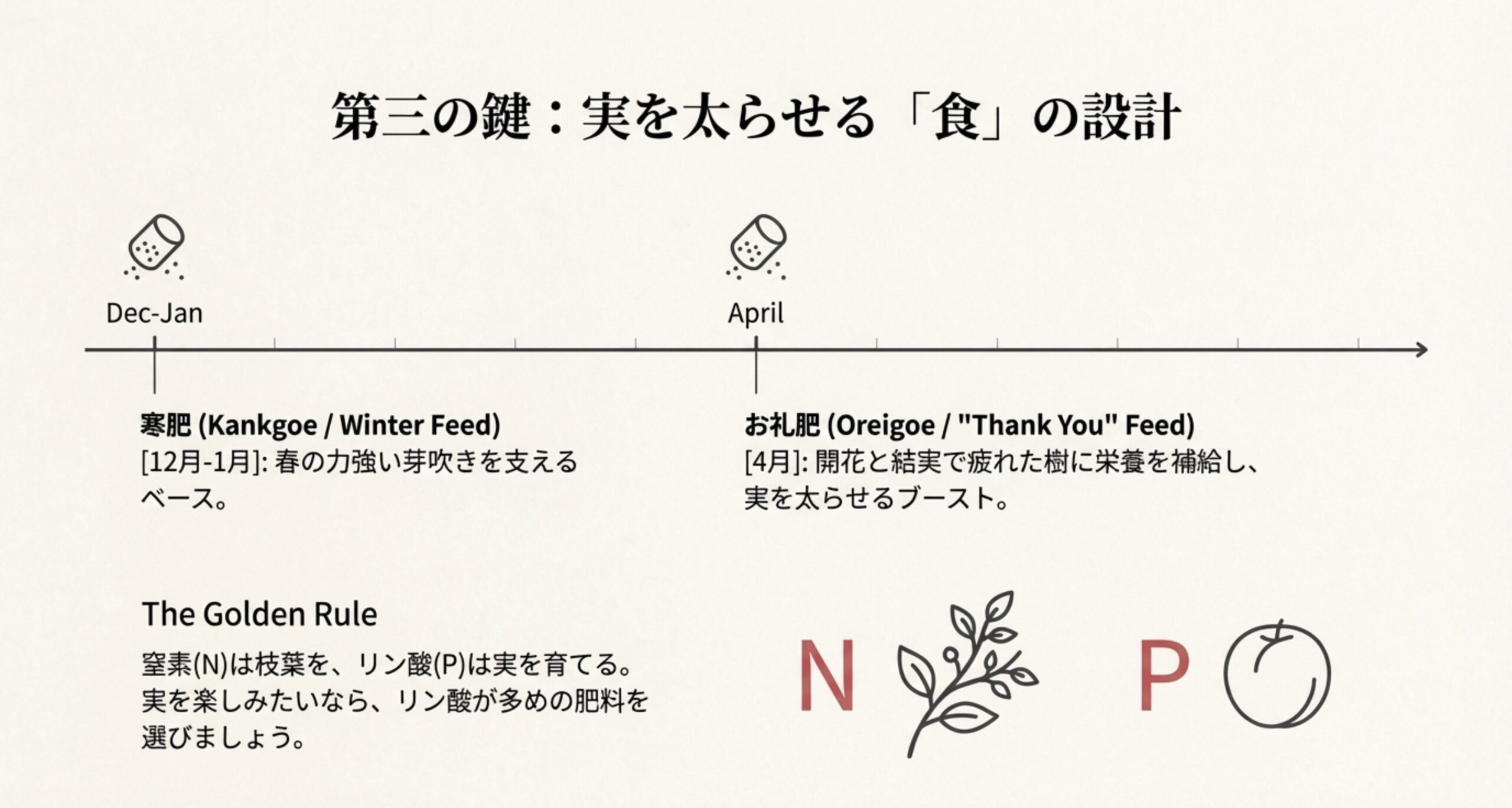 12-1月の「寒肥」と4月の「お礼肥」の時期を解説。リン酸（P）が実を育てるという「黄金ルール」を紹介したスライド。