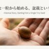 手のひらに乗った一粒のどんぐりの写真。「小さな一粒から始める、盆栽という物語」というタイトル。
