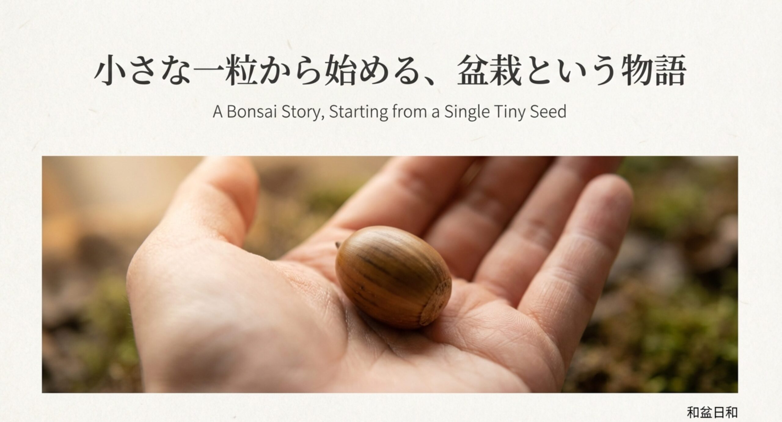 手のひらに乗った一粒のどんぐりの写真。「小さな一粒から始める、盆栽という物語」というタイトル。