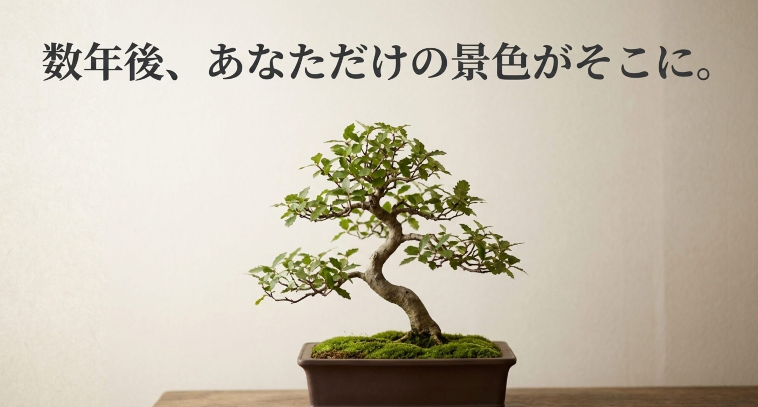 成長して枝が広がった盆栽のシルエットを背景にした、「数年後、あなただけの景色がそこに」というメッセージ。