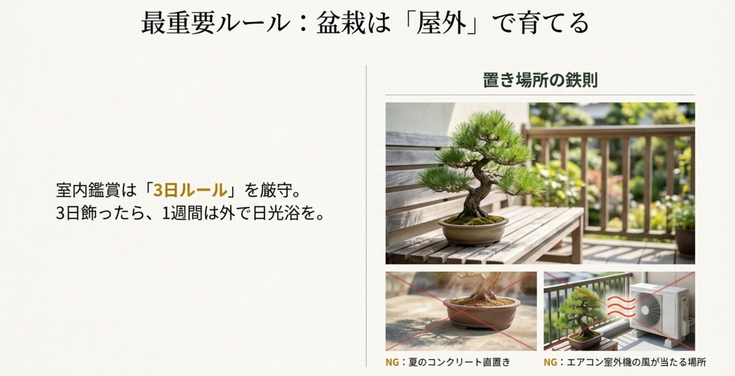 室内鑑賞は「3日ルール」を守ること、夏のコンクリート直置きやエアコン室外機の風が当たる場所がNGであることを示す写真。
