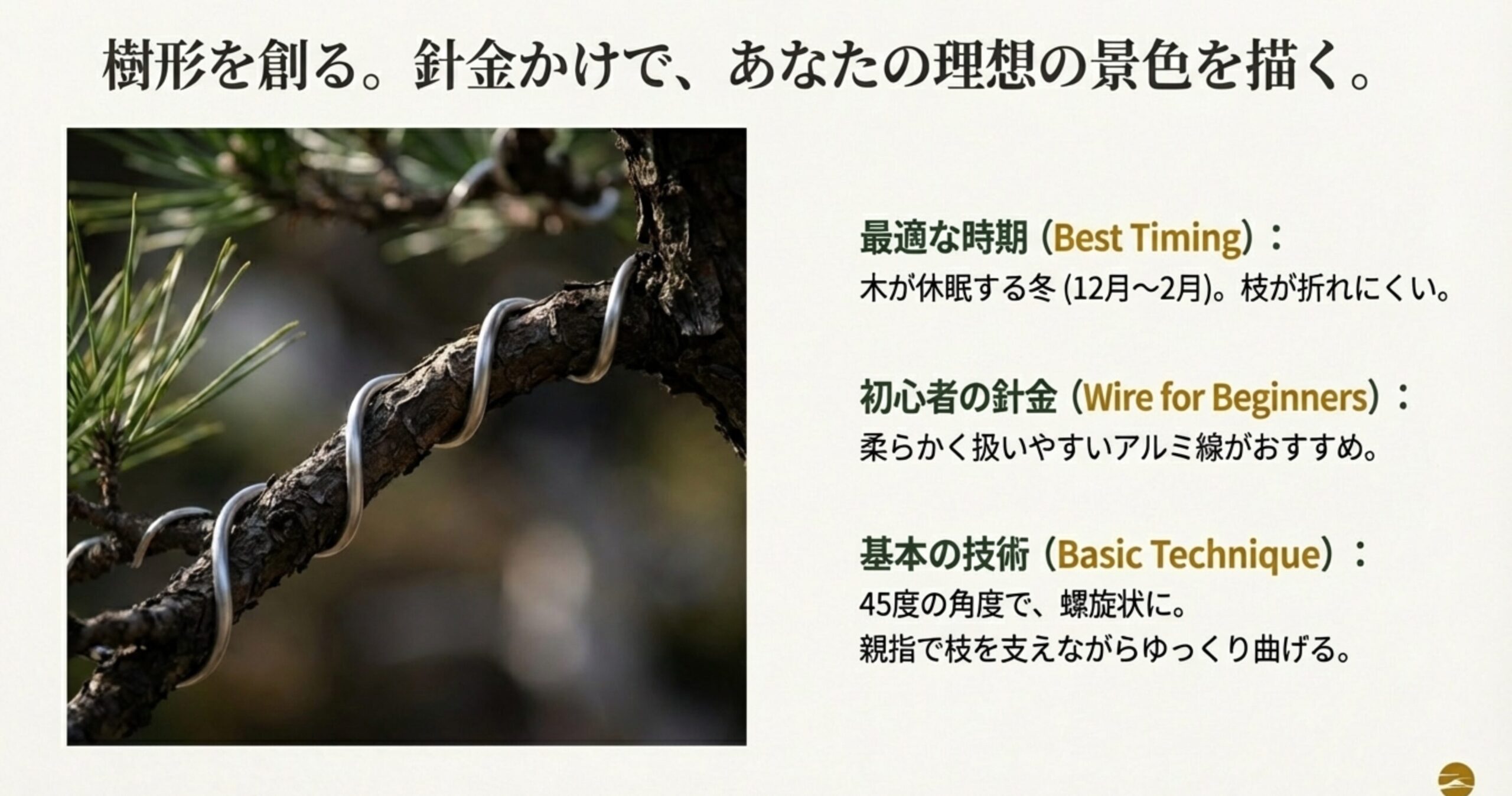 アルミ線を枝に45度の角度で螺旋状に巻いている様子と、冬の休眠期が適期であることの解説。