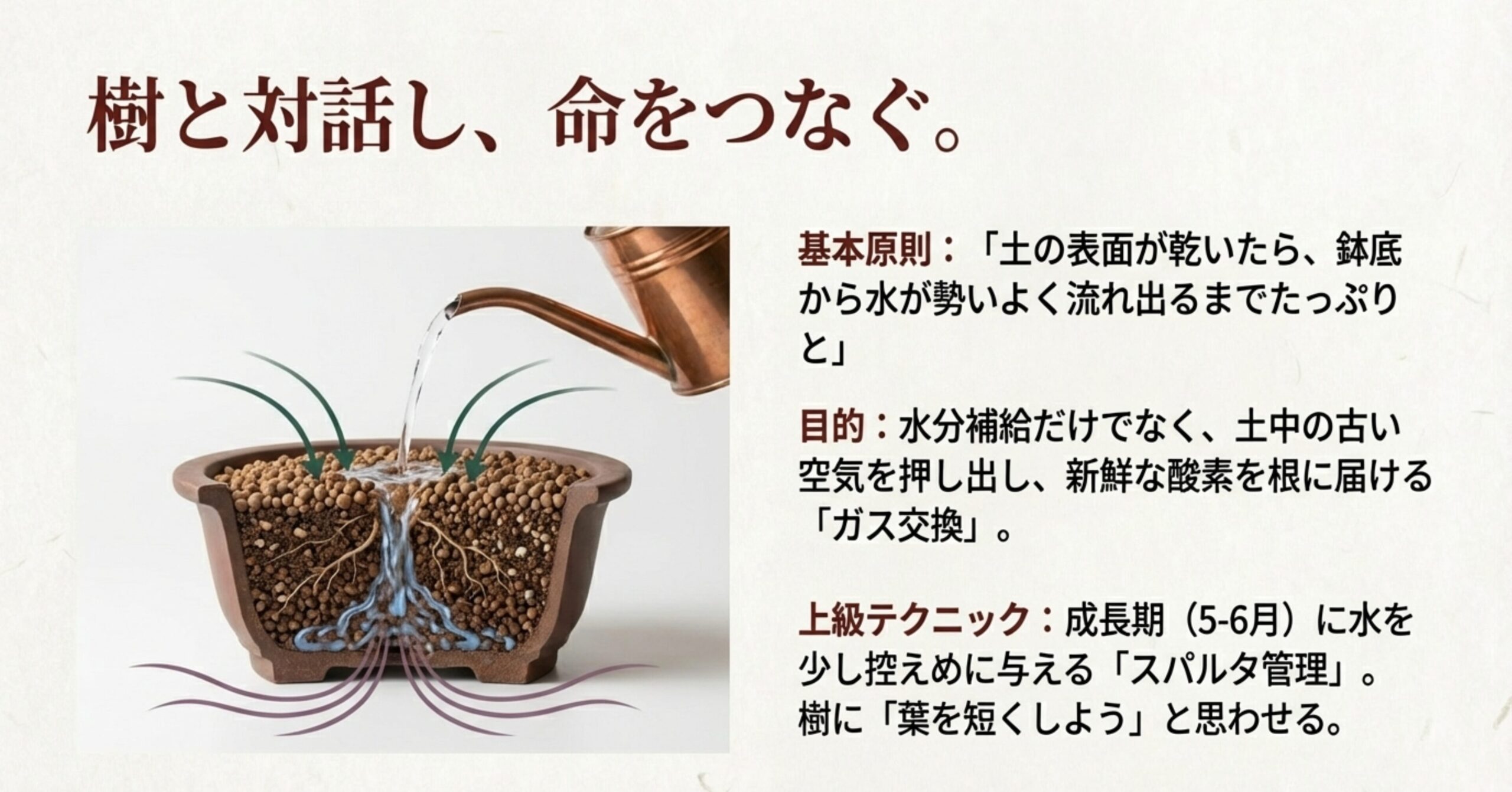 鉢底から水が流れることで古い空気が押し出され、新鮮な酸素が根に届く仕組みのイラスト。