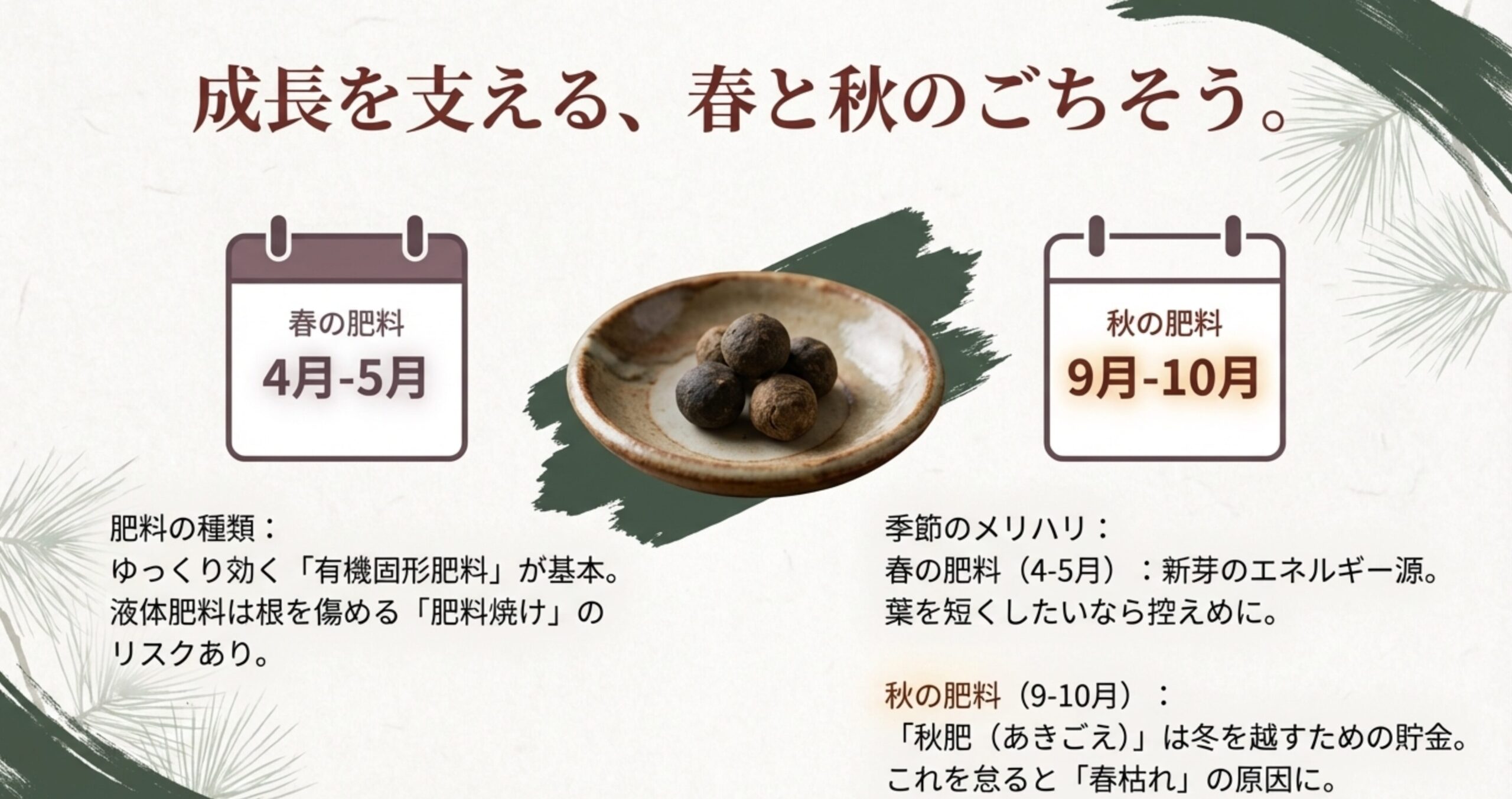 新芽のための春肥と、冬越しのための秋肥の重要性を解説する図解。