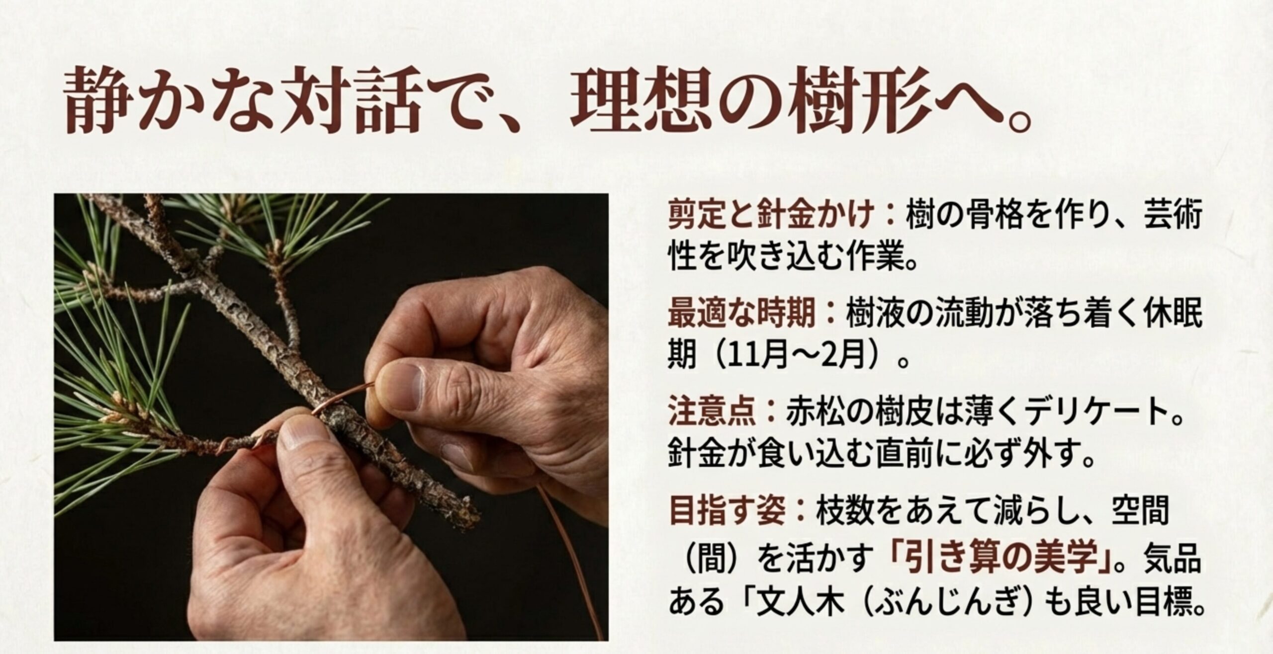 休眠期に針金をかけて樹の骨格を整え、芸術性を高める整姿作業。