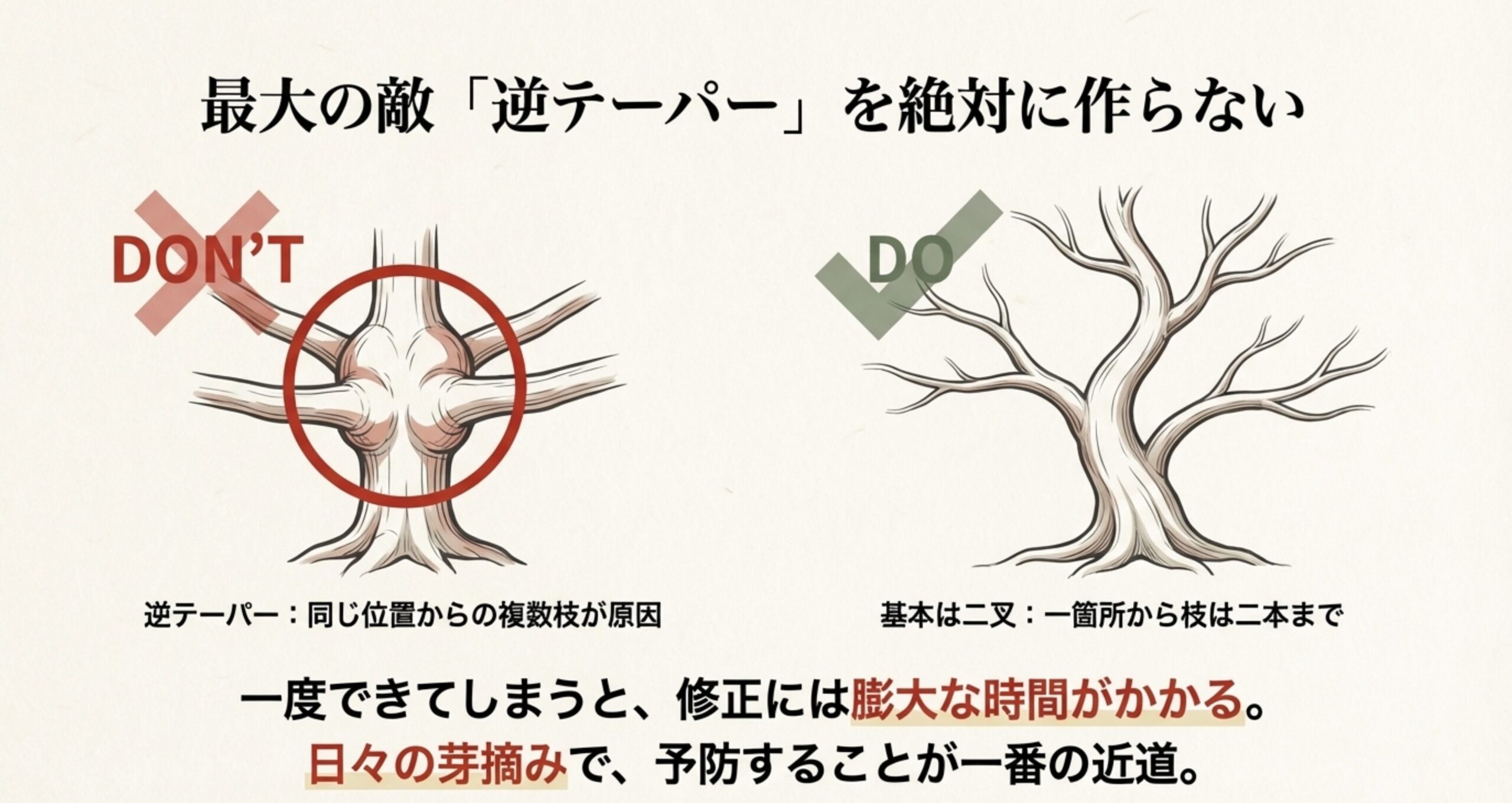 逆テーパー（上部が太くなる失敗例）と、一箇所から枝を二本までに整理した正しい枝分かれ（二叉）の比較イラスト。