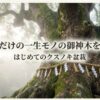 クスノキ盆栽の育て方ガイドの表紙。新緑のクスノキを背景に「はじめてのクスノキ盆栽」というタイトルと「あなただけの一生モノの御神木を育てる」というキャッチコピー。