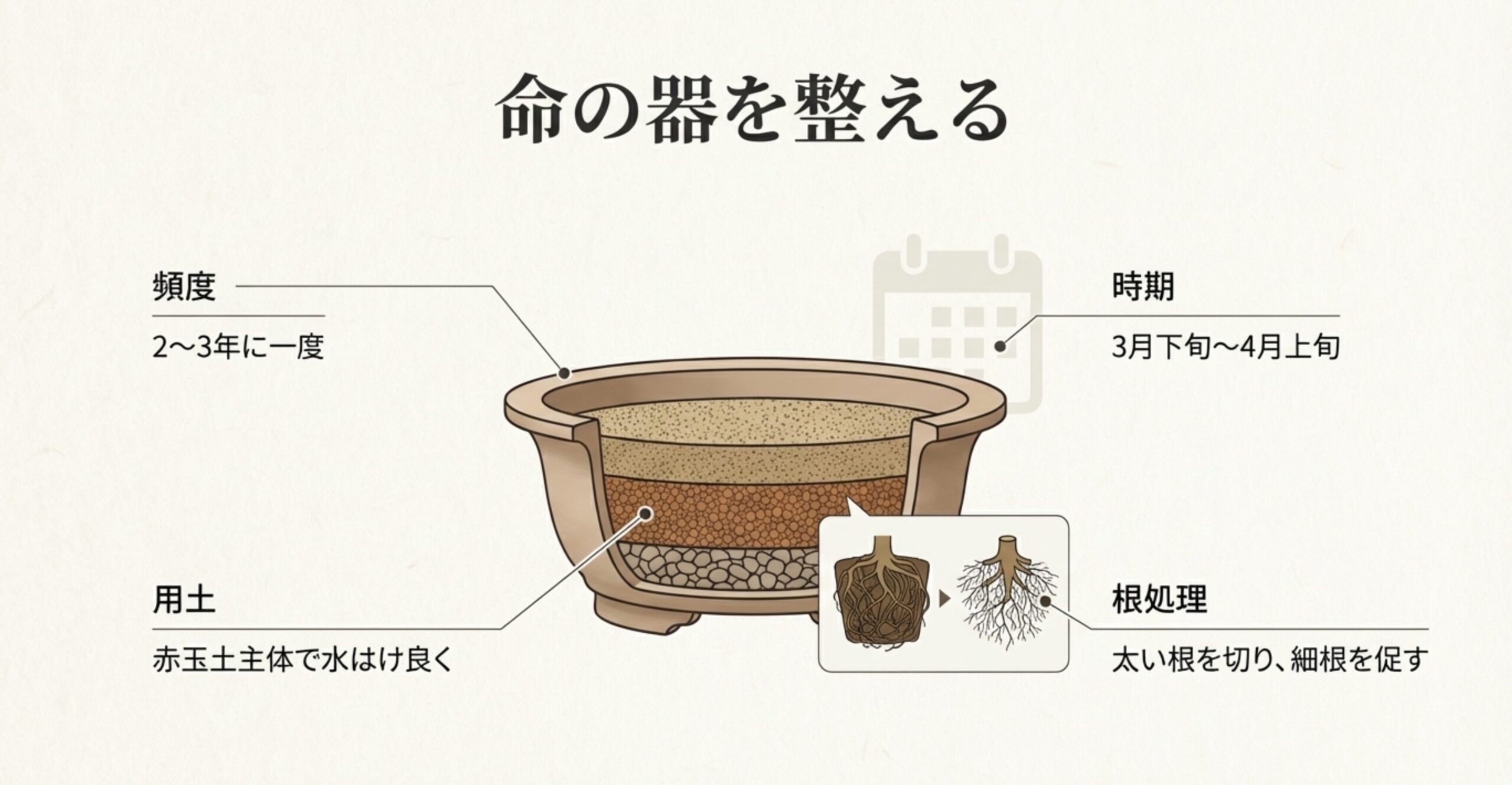 盆栽鉢の断面図とともに、植え替えの頻度（2〜3年に一度）、時期（3月下旬〜4月上旬）、用土（赤玉土主体）、根処理の方法を図解したスライド。