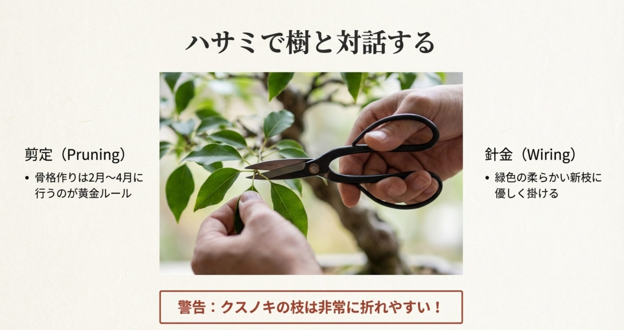 剪定バサミで枝を切る写真とともに、骨格作りは2月〜4月に行うこと、枝が折れやすいため針金掛けは柔らかい新枝に限定することなどの注意点をまとめたスライド。