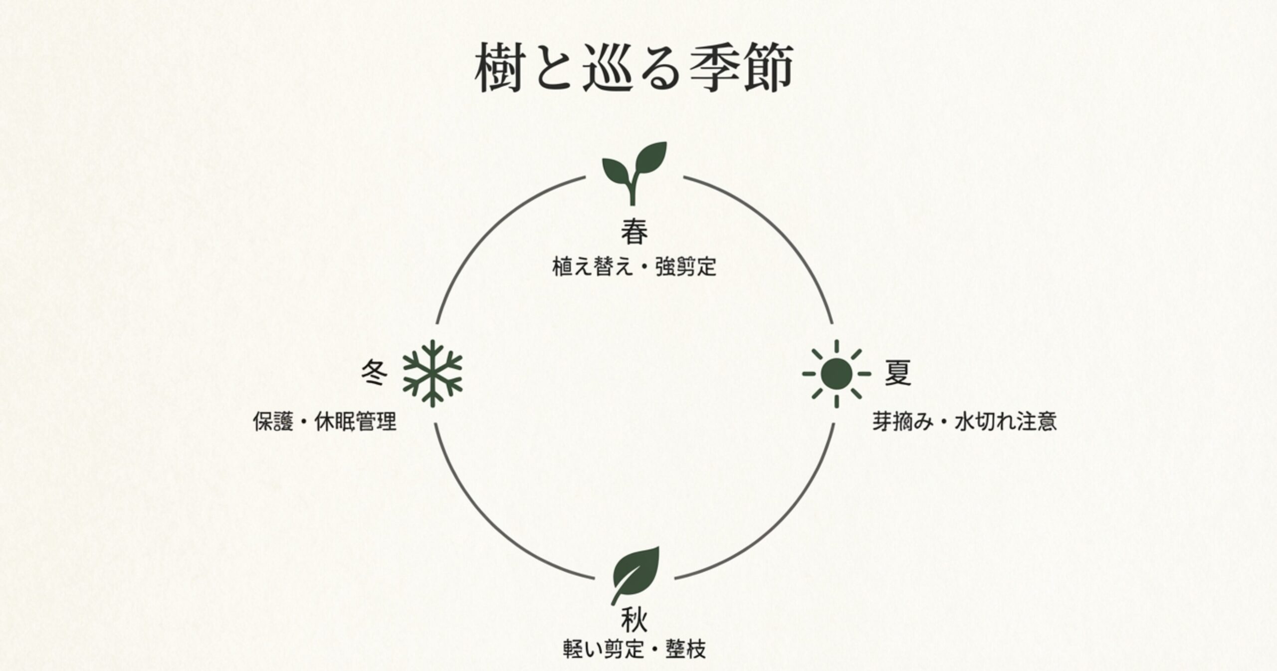 春（植え替え・強剪定）、夏（芽摘み・水切れ注意）、秋（軽い剪定・整枝）、冬（保護・休眠管理）と、四季ごとの主な作業内容を円グラフ状にまとめたサイクル図。