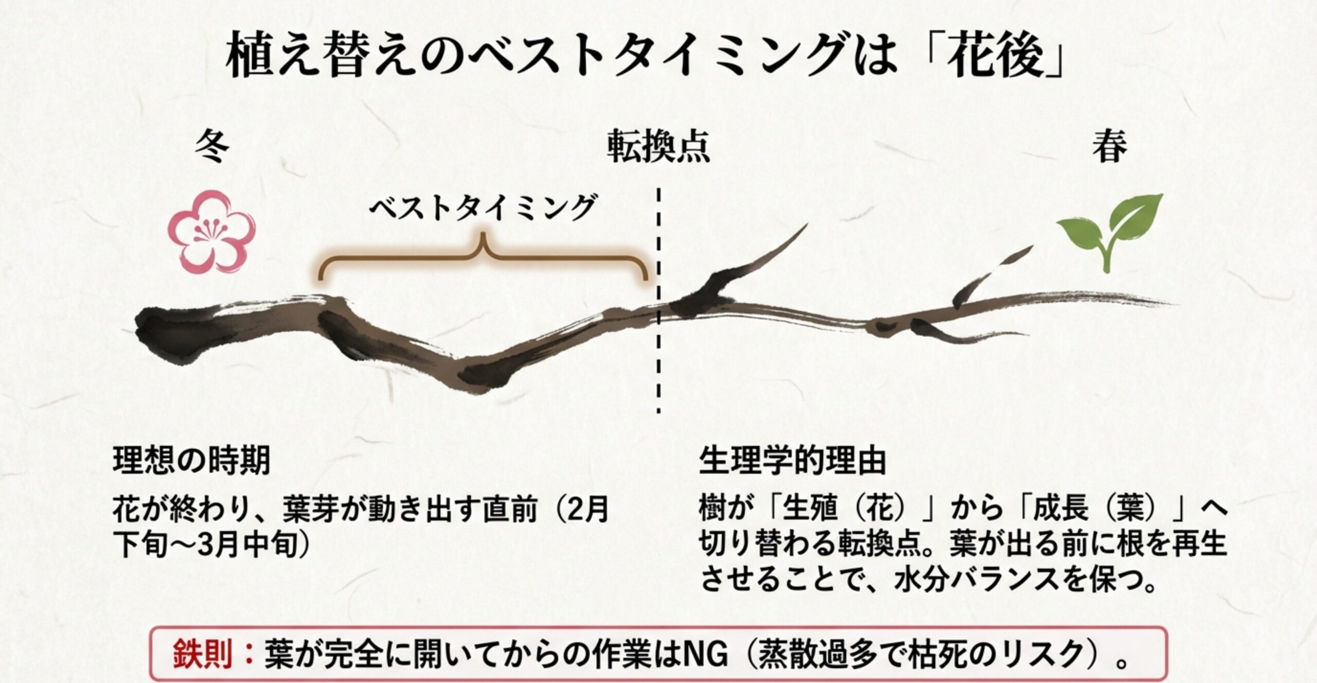冬から春への移り変わりを時間軸で示した図。花が終わり葉芽が動き出す直前（2月下旬〜3月中旬）を「ベストタイミング」とし、樹が「生殖」から「成長」へ切り替わる転換点であることを説明するイラスト。