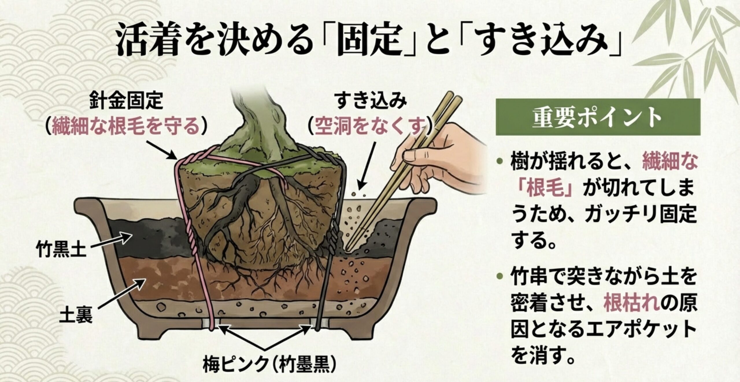 盆栽の鉢内部の断面図。針金で樹をがっちり固定して根毛を守り、竹串で土を突いて隙間（エアポケット）をなくす「すき込み」の作業を詳しく解説した図。