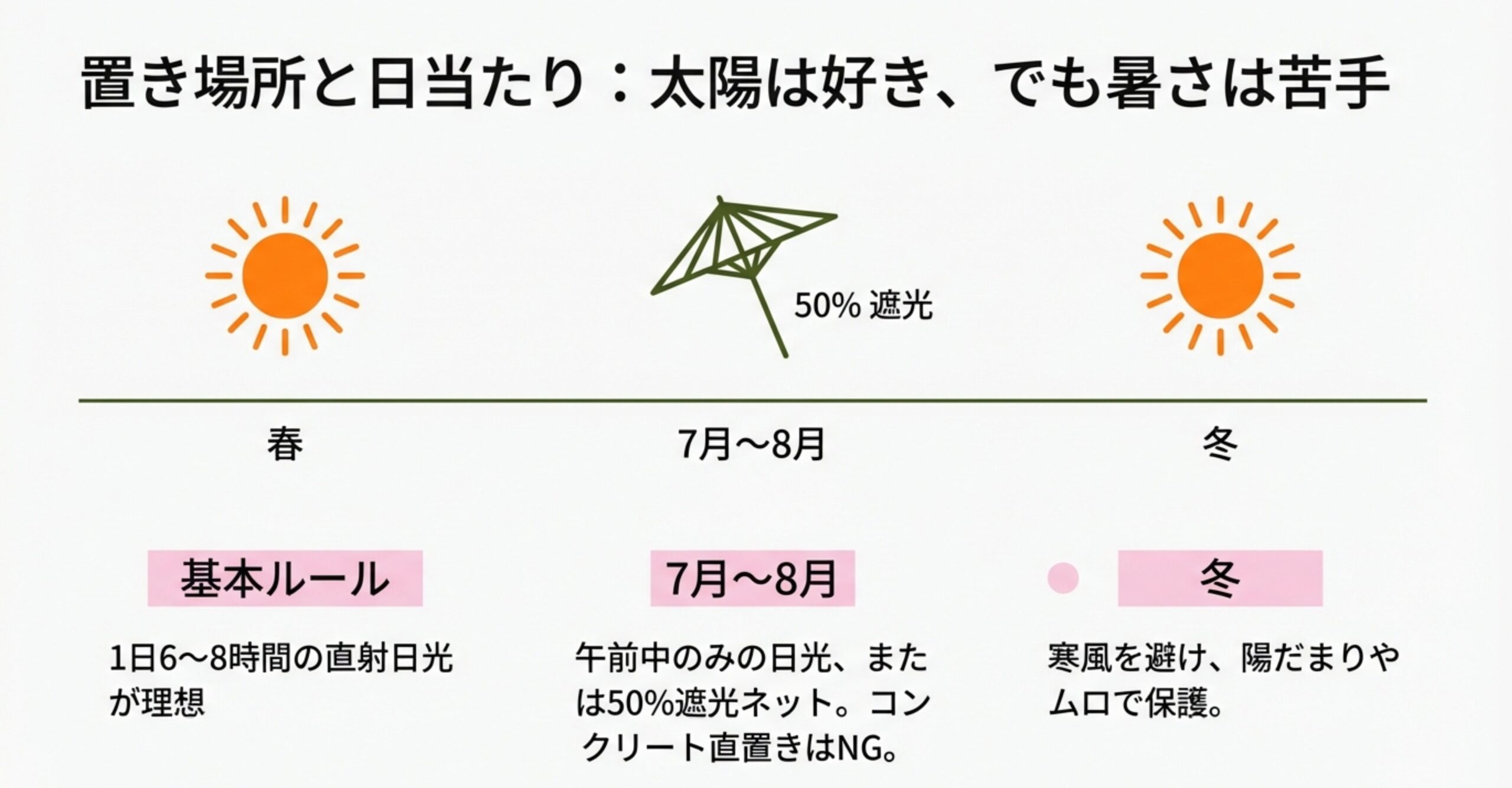 春秋は1日1回、夏は1日2〜3回、冬は3〜4日に1回という水やり頻度と、葉水による冷却・防虫効果を説明するイラスト入りスライド。
