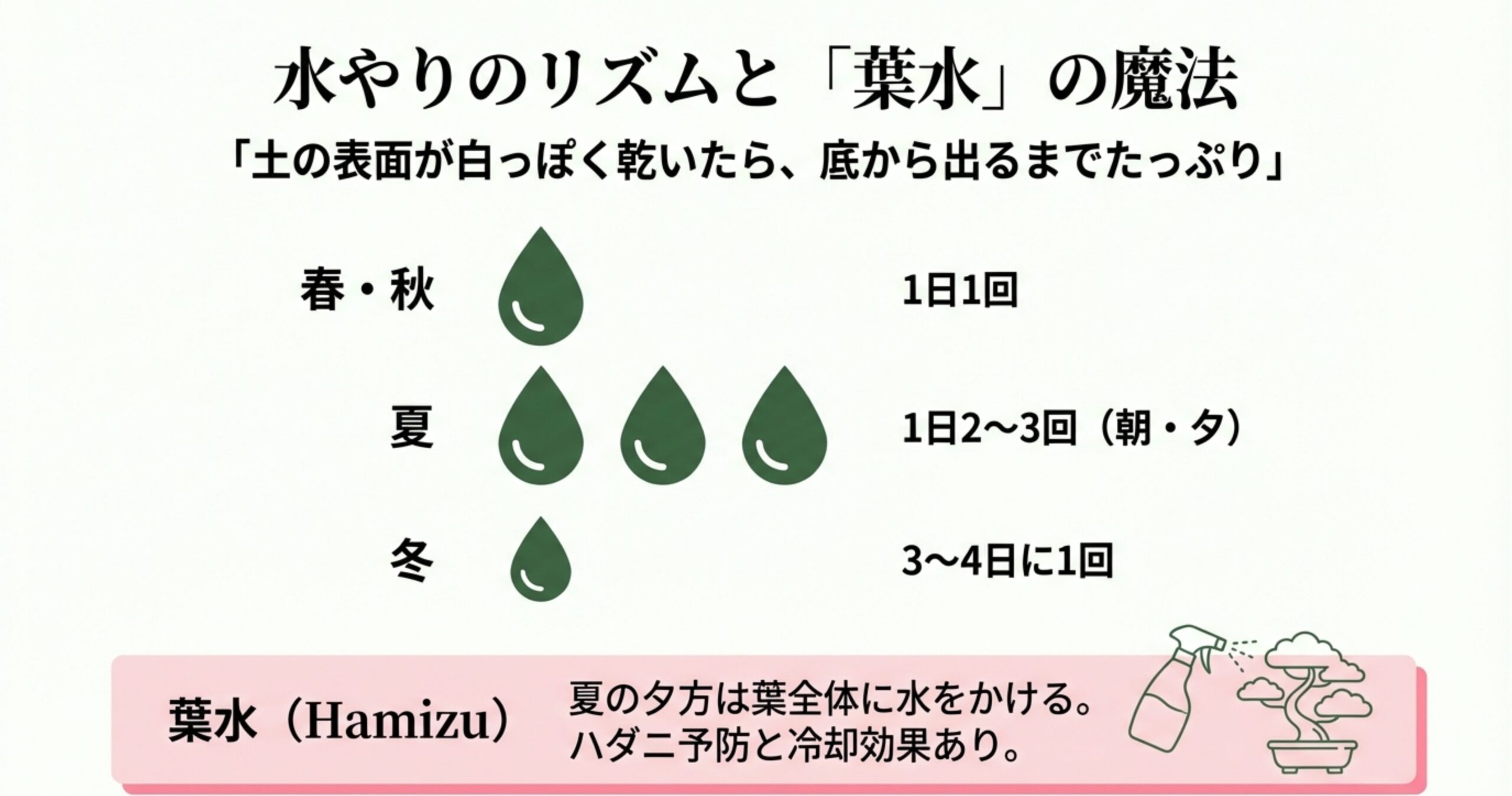 花後すぐの剪定（昨年の枝を2〜3節残す）の重要性と、8月以降は花芽を切ってしまうため強い剪定がNGであることを示すカレンダー形式のスライド。