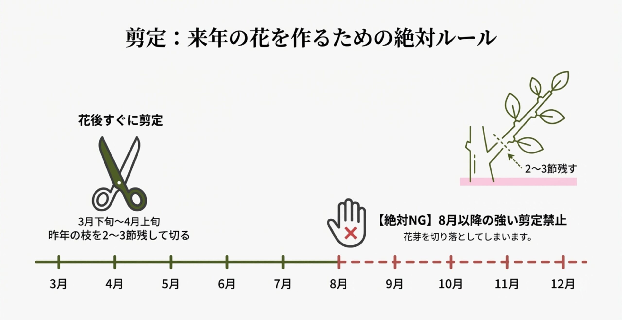 4月のお礼肥、9〜10月の秋肥のタイミングと、根が弱る7月・8月は肥料を中止することを示したタイムラインスライド。