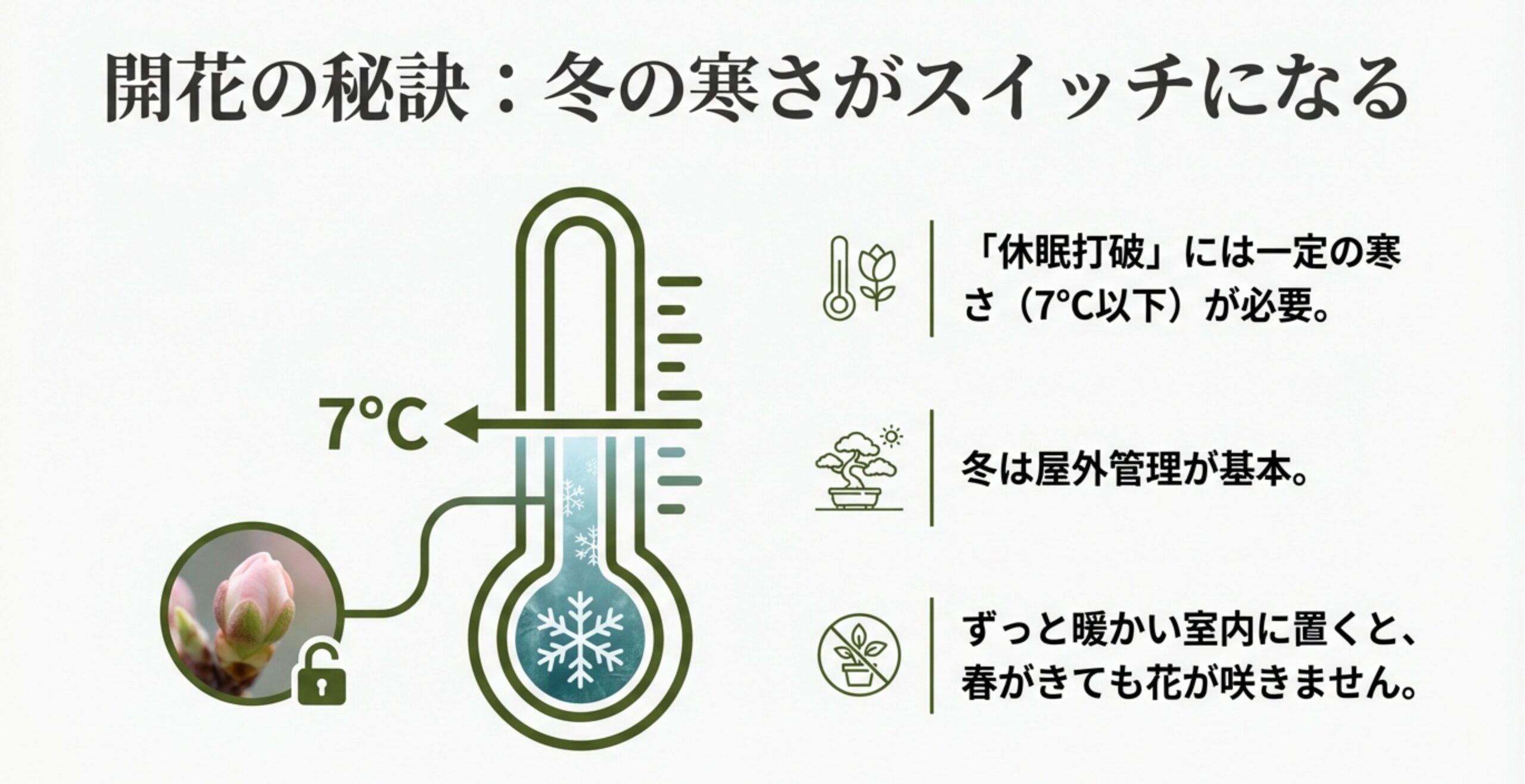 花が咲かない原因と休眠打破に必要な冬の寒さ
