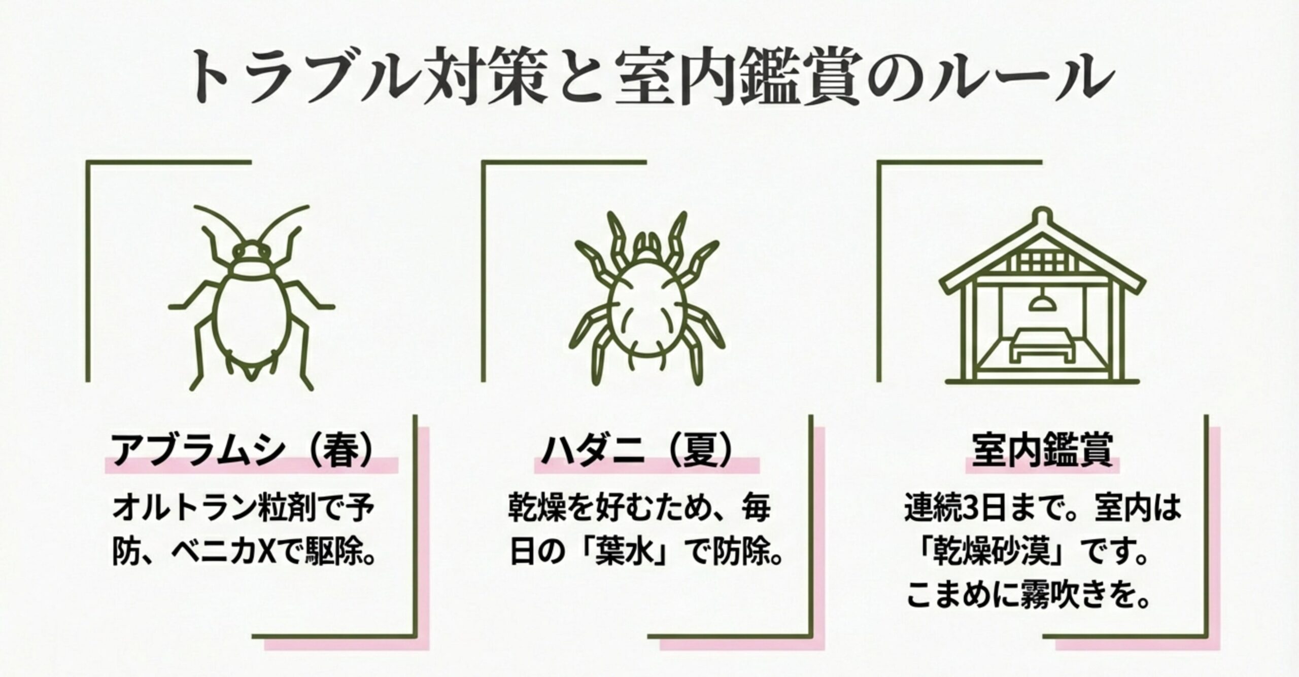 春のアブラムシ、夏のハダニへの対処法と、室内鑑賞は連続3日までというルールをまとめたスライド。