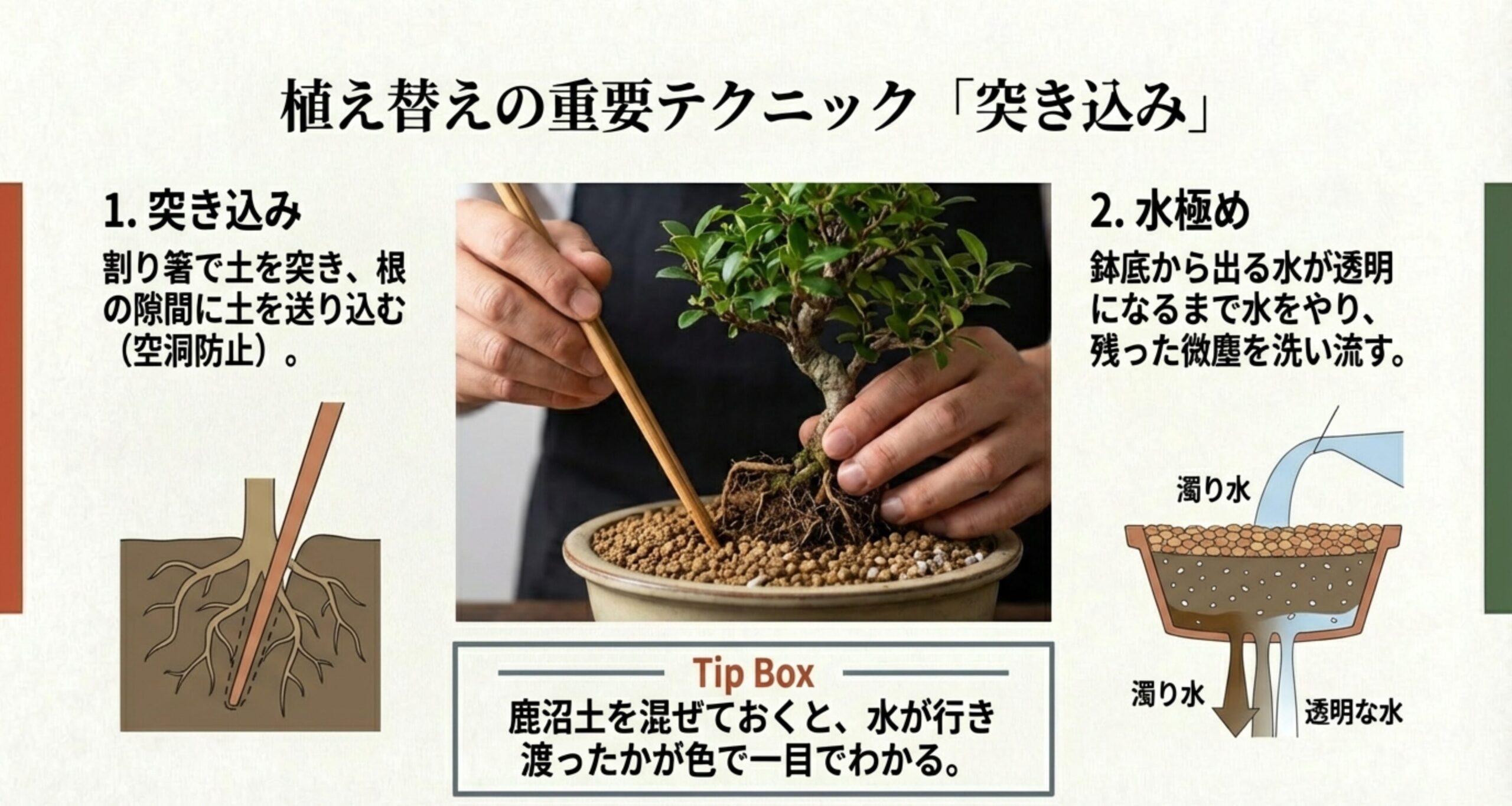 割り箸で土を突き込む様子と、鉢底から透明な水が出るまで微塵を洗い流す「水極め」の工程を説明する画像。