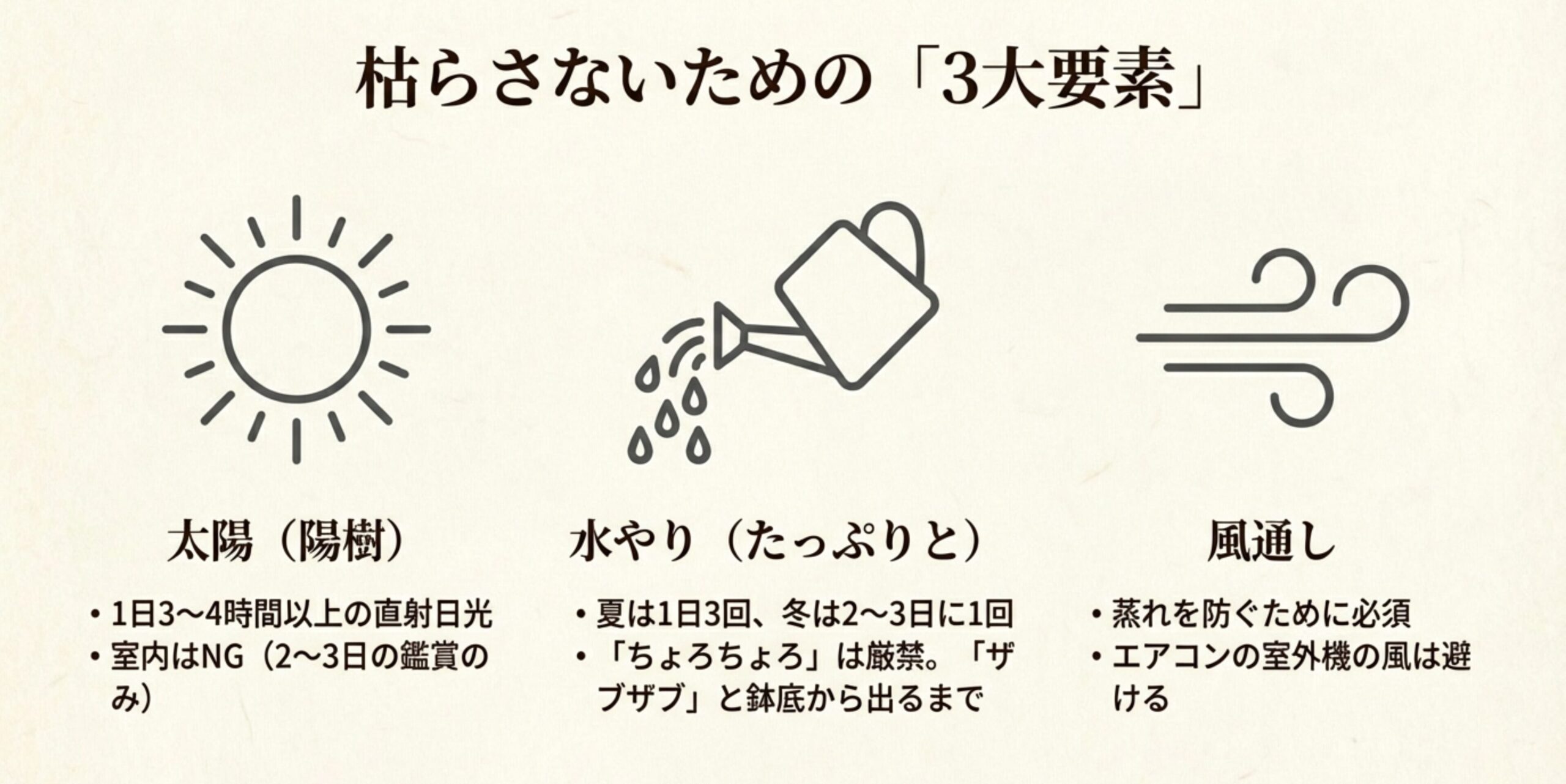 太陽（陽樹）、水やり、風通しの重要性をアイコンで説明。室内は2〜3日の鑑賞に留め、水やりは「ザブザブ」と行うよう解説。