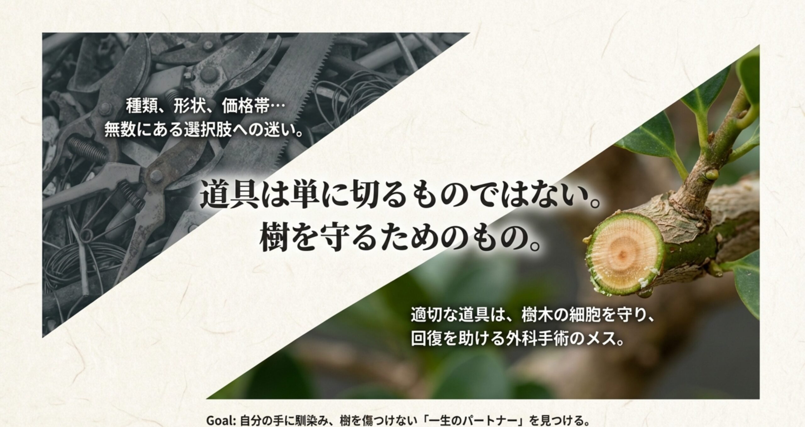 道具選びの迷いに対する答え。適切な道具は樹木の細胞を守る「外科手術のメス」であり、一生のパートナーを見つけることがゴールであるという概念図