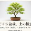 白背景に美しい緑色のモミジの盆栽の写真と、「モミジ盆栽、土の極意」というタイトル文字。
