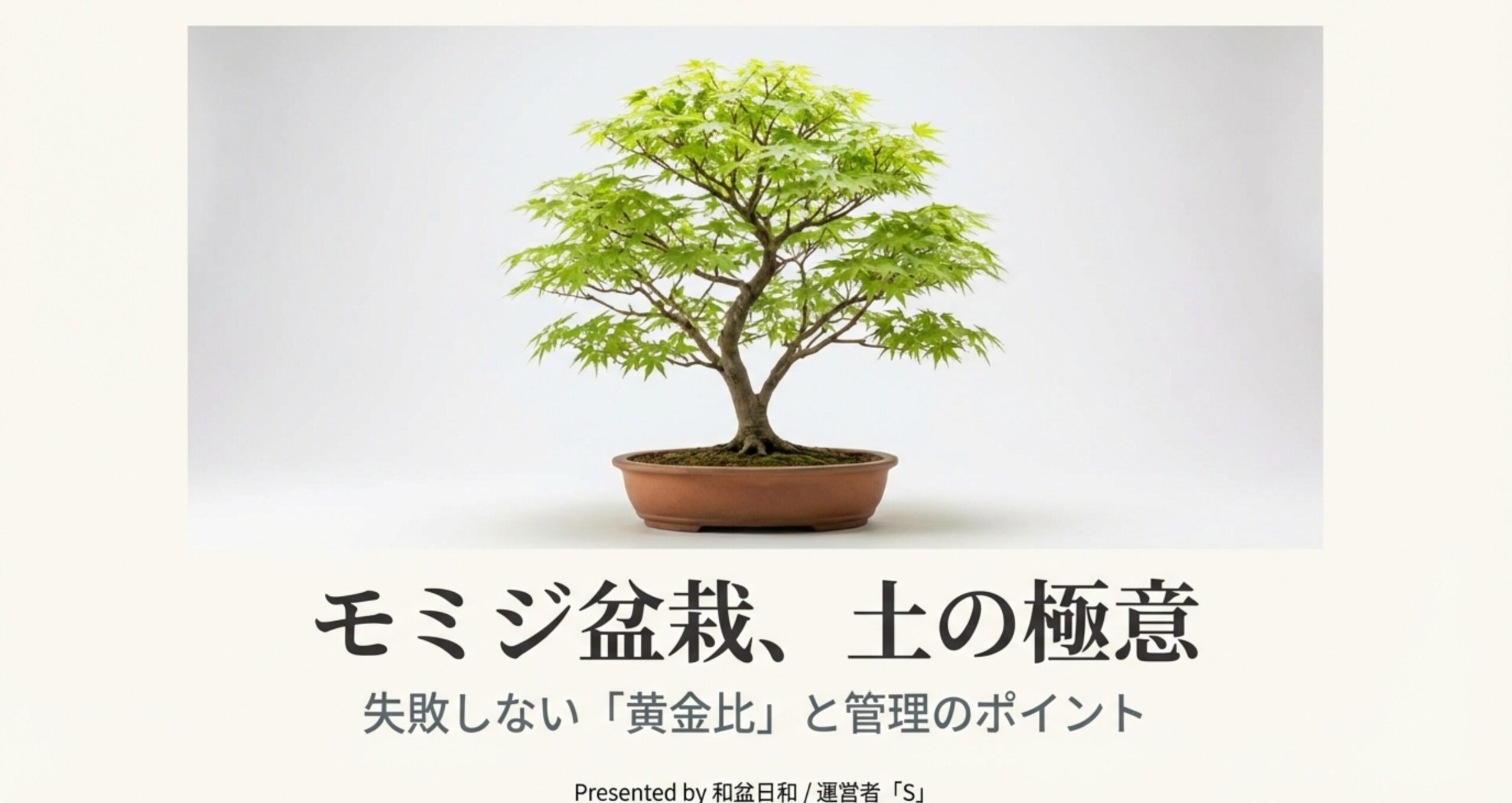 白背景に美しい緑色のモミジの盆栽の写真と、「モミジ盆栽、土の極意」というタイトル文字。