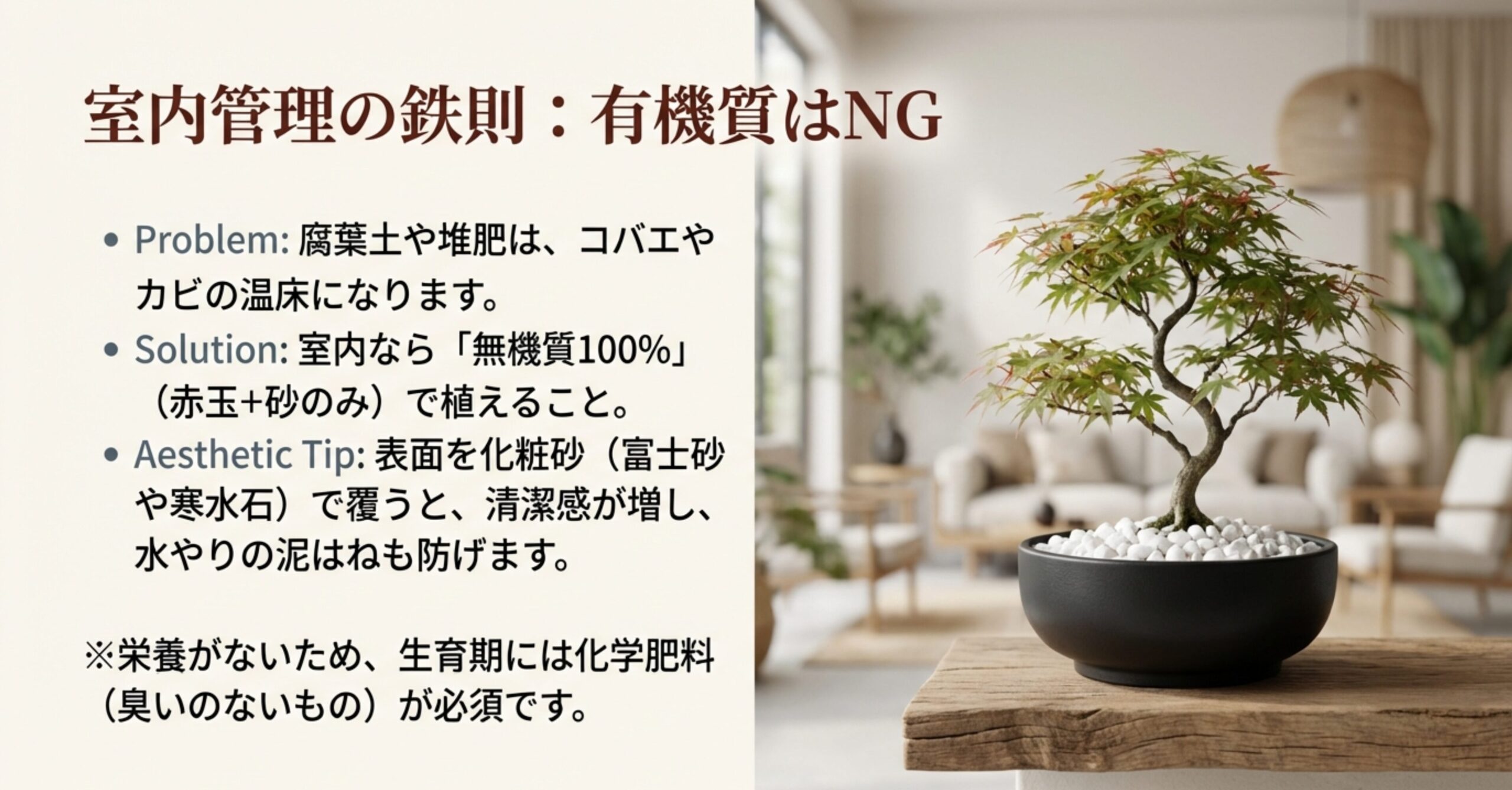 清潔な化粧砂（寒水石や富士砂）で表面を覆った盆栽の鉢。室内管理では有機質を含まない土を使用し、コバエやカビを防ぐ方法を解説。
