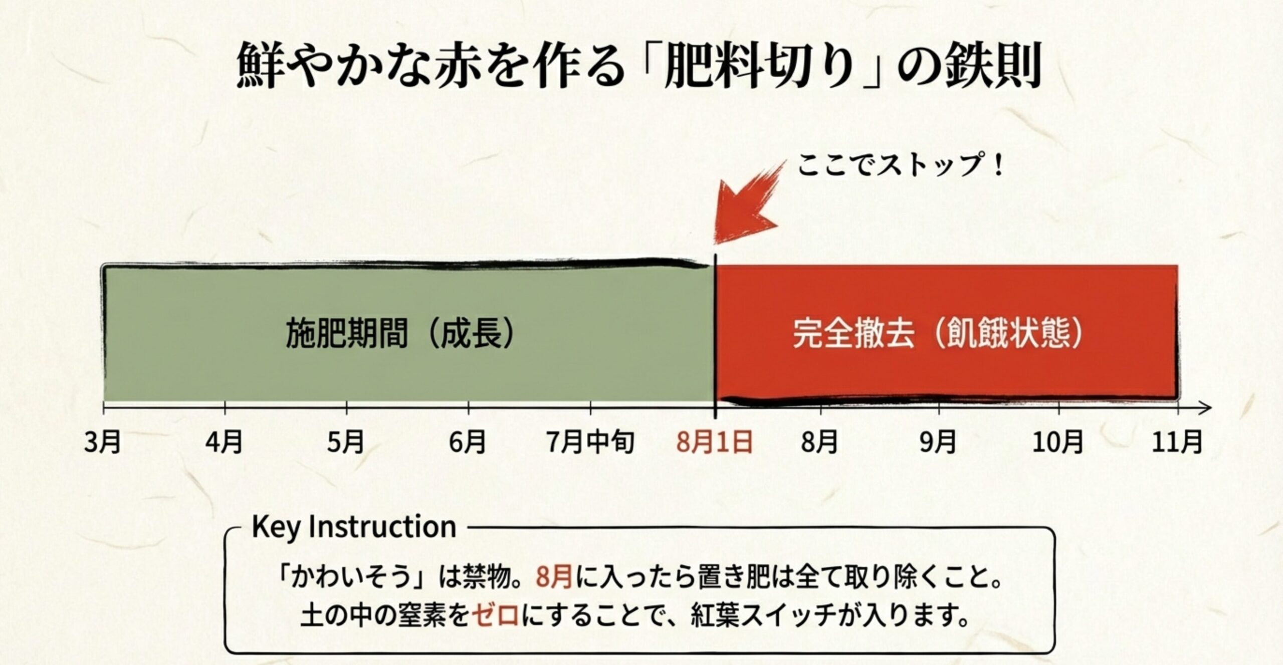 ハゼ盆栽の肥料切りの時期を示すカレンダー。8月1日以降は肥料を完全撤去し、窒素飢餓状態にする重要性を解説。